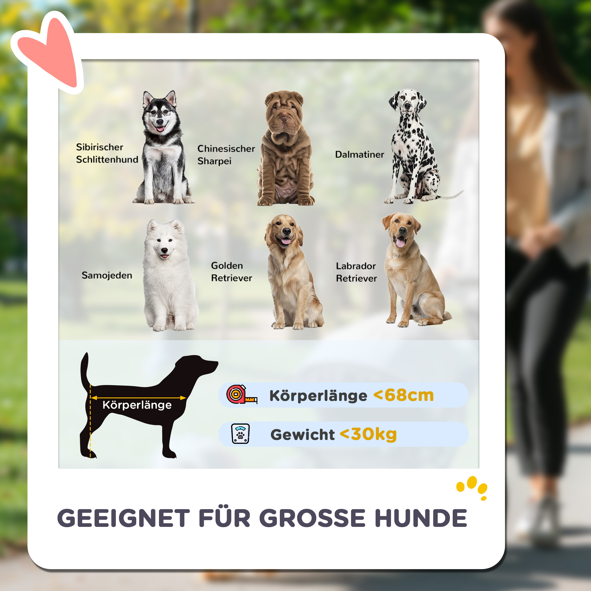 Hundewagen, Faltbarer Hundebuggy für große Hunde, Haustierwagen mit 4 Rädern, Sicherheitsleinen, Bremsen, Schwarz