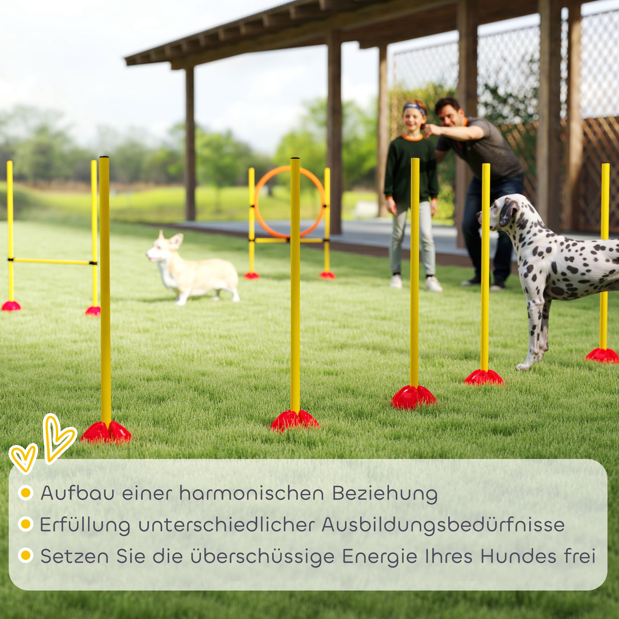 Agility Set Hunde 3-teiliges befüllbar Agility-Ausrüstung für Hundetraining Steckhürdenset mit Slalomstangen