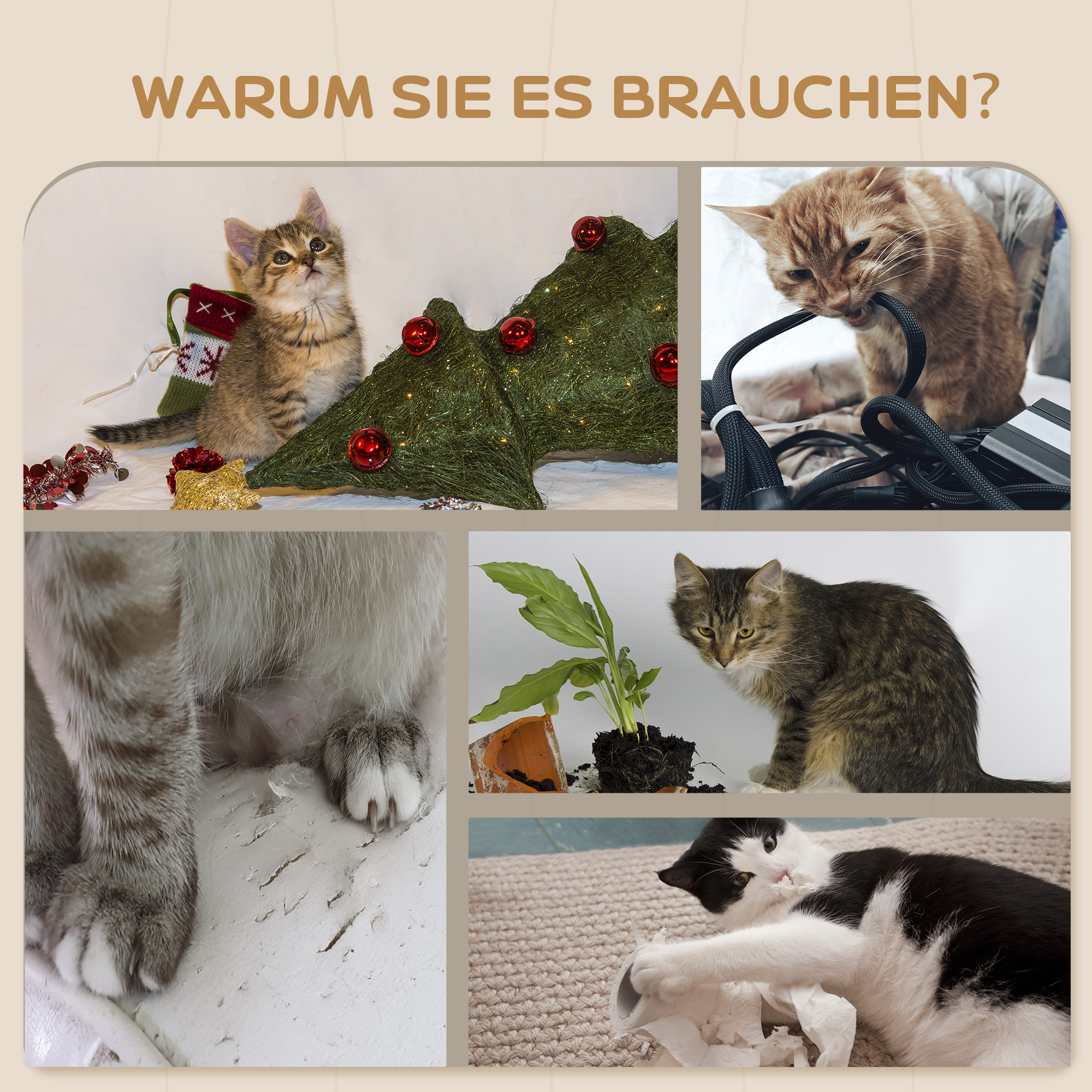 Kletterwand-Set für Katzen, Hängematte, Kratzbrett, Sprungplattformen, Plüsch, Sisal, Grau