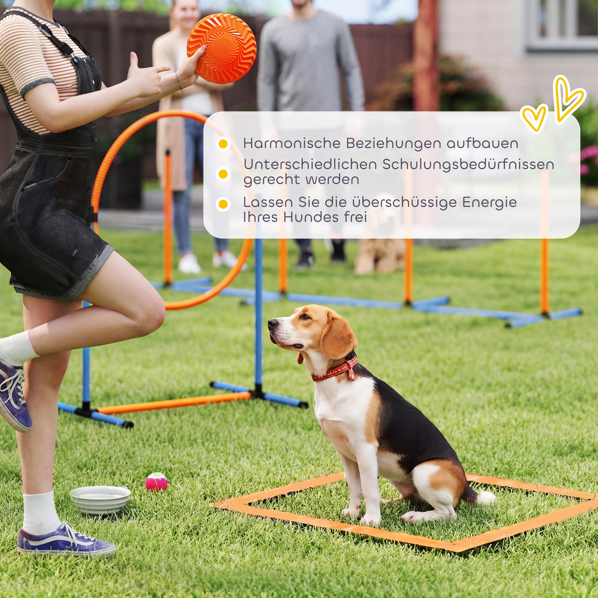 Agility Set Hunde 11-teilig Agility-Ausrüstung für Hunde mit 2 Tunnel Höhenverstellbar Sprungring & Hürden Slalomstange