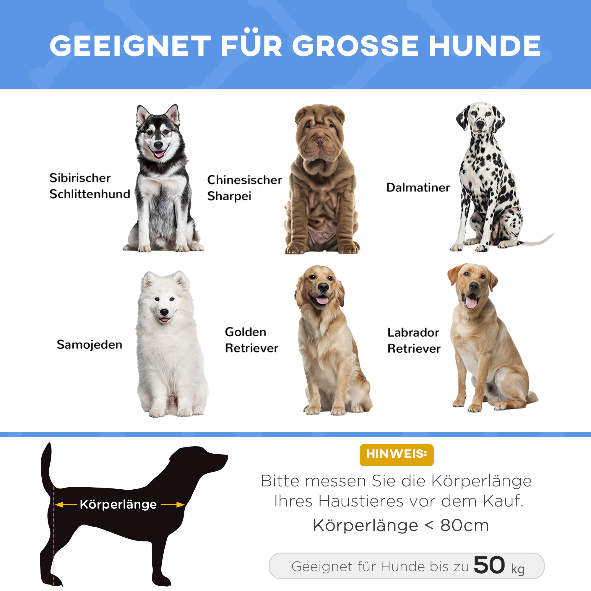 Hundebett, faltbar, Outdoor-Hundebett, erhöhter Stand, 122 cm x 92 cm x 23 cm, Blau + Schwarz