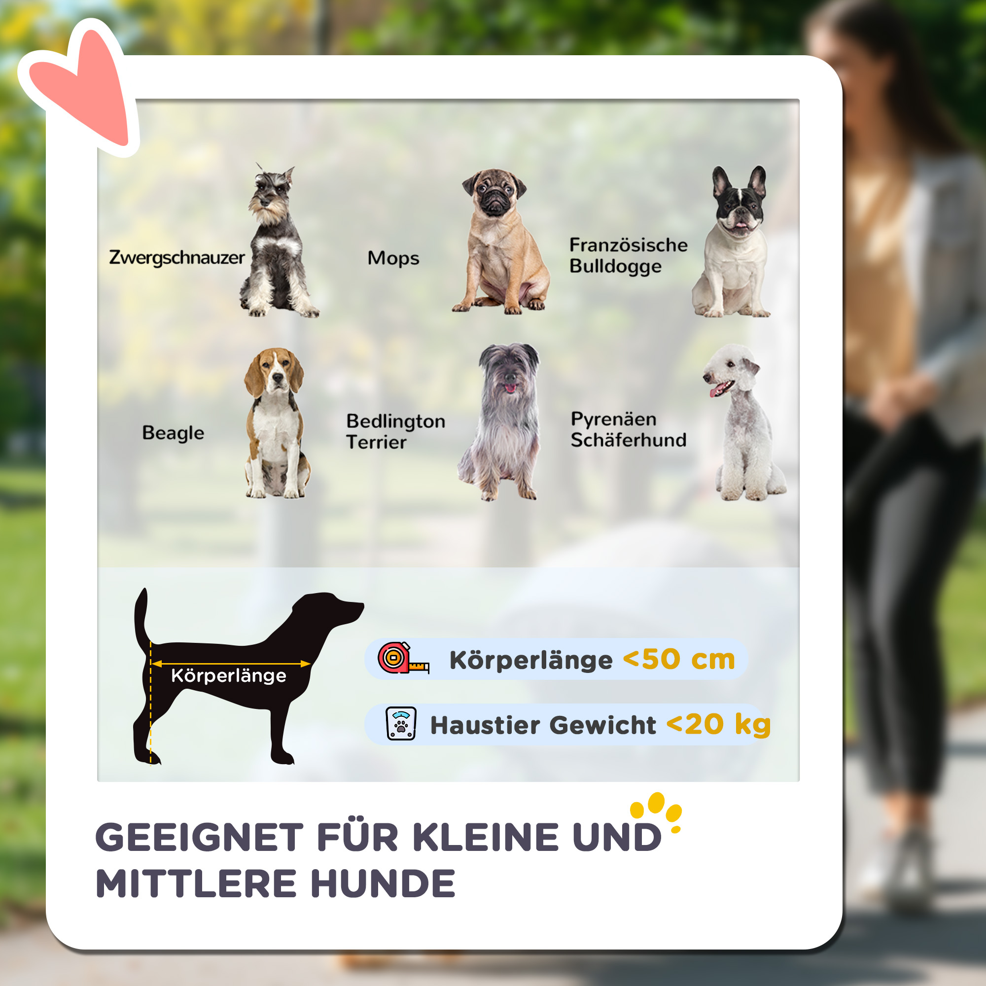 Hundetrolley bis 20kg klappbar Kissen 3 Seitentaschen 102 cm x 62 cm x 105 cm Blau