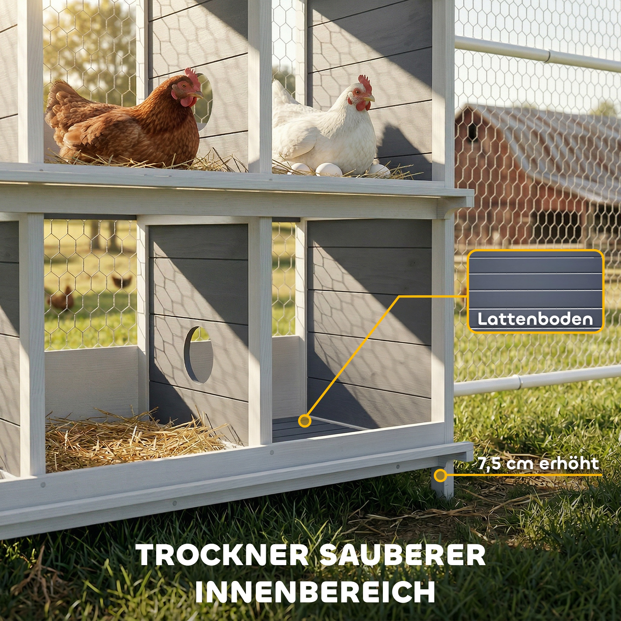 Legenest für Hühner, erhöhtes Hühnernest aus Holz mit 6 Fächer, 2 Sitzstangen für Kleintierstall 102 x 50 x 91 cm, Grau