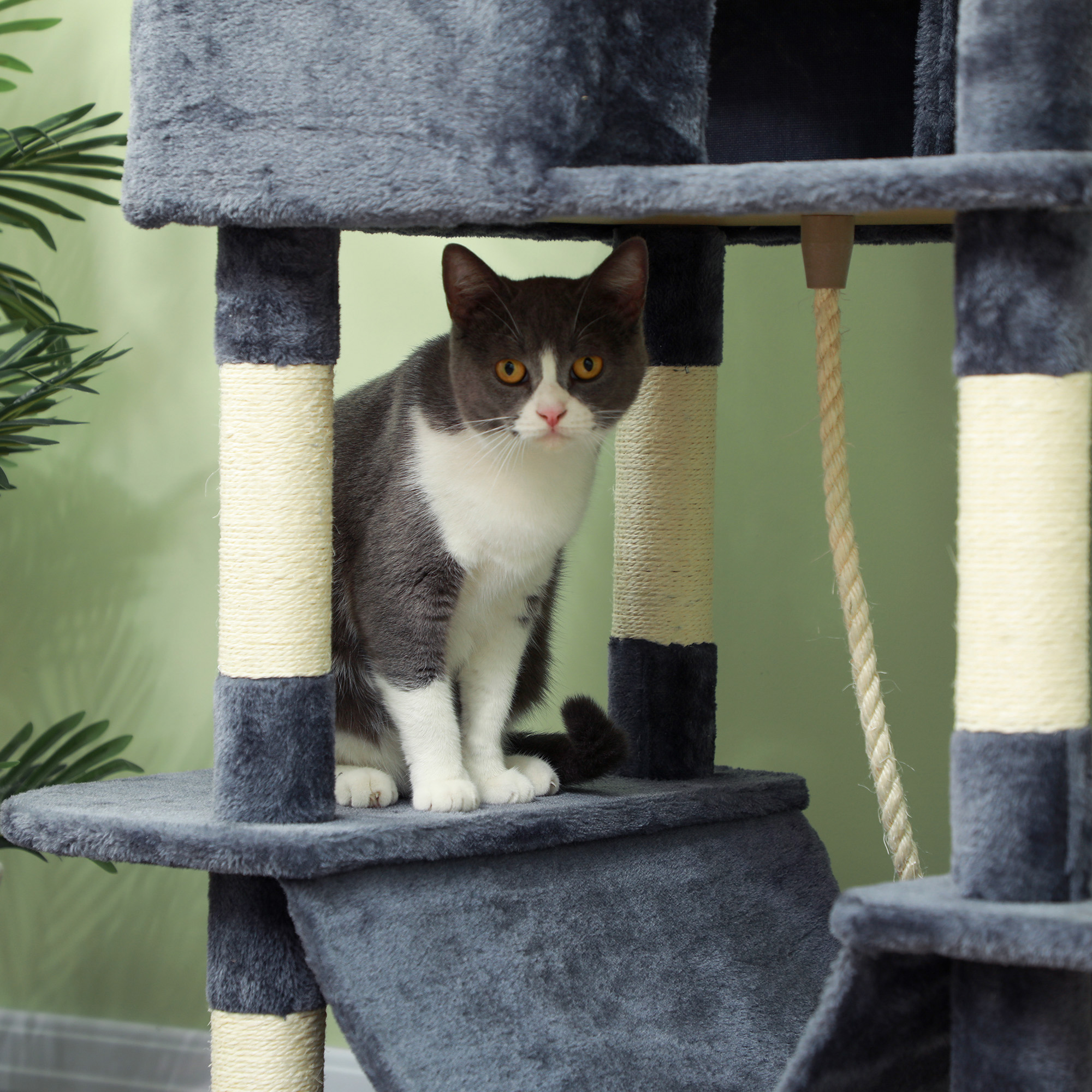 Kratzbaum 206 cm Katzenturm mit Höhle, 2 Spielballen, Sisalstämme, Plattform für große Katzen, Dunkelgrau