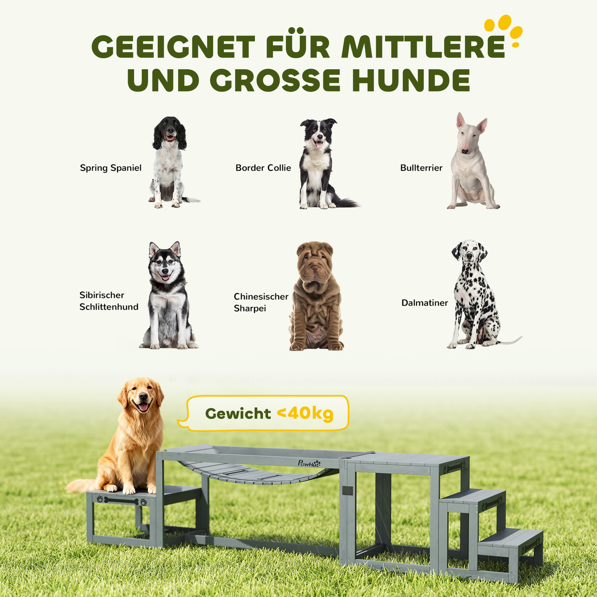 Hunde Agility Set 3-teiliges Set Agility-Ausrüstung mit Brücke, Treppe, Plattform, Tannenholz, 117 x 50 x 56 cm, Grau