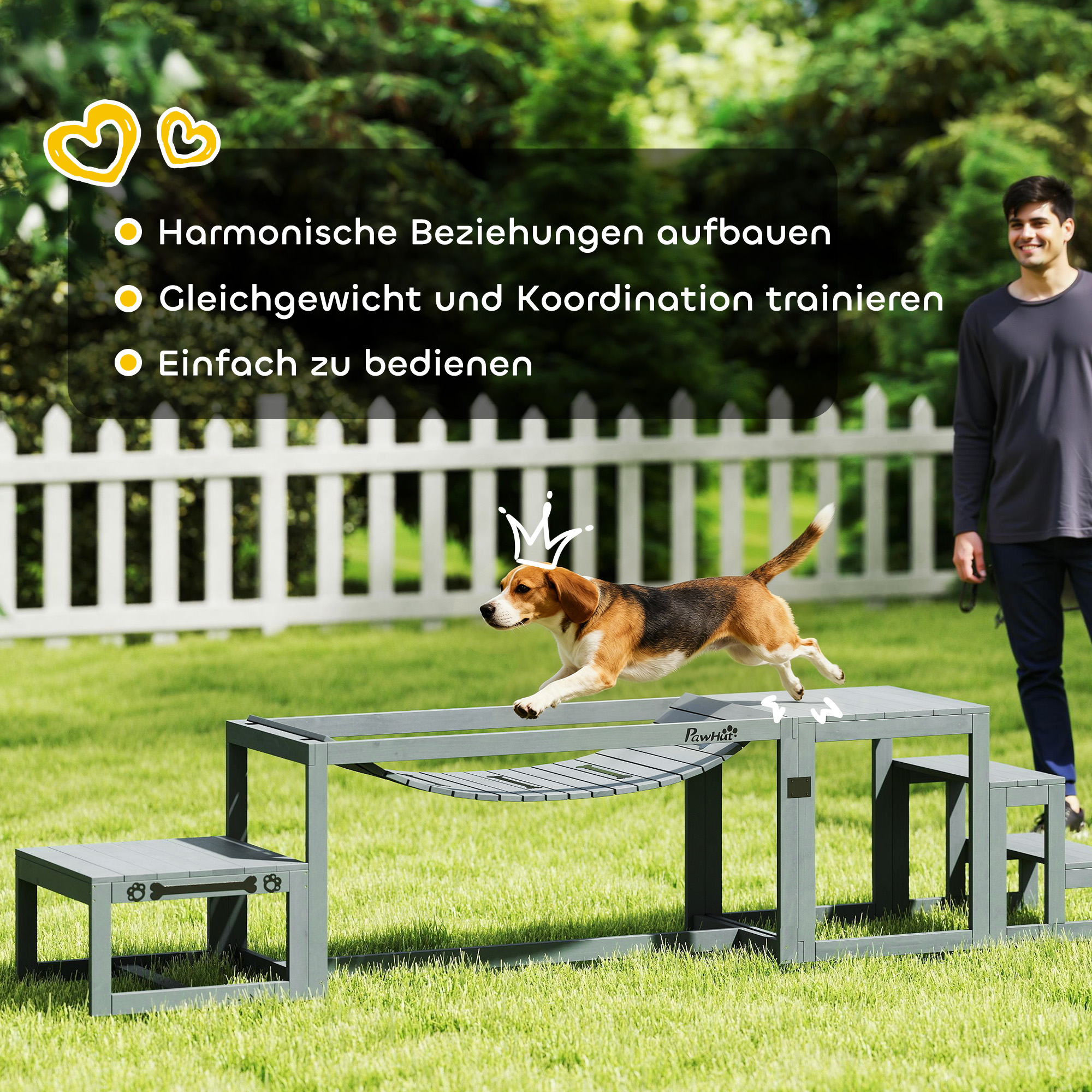 Hunde Agility Set 3-teiliges Set Agility-Ausrüstung mit Brücke, Treppe, Plattform, Tannenholz, 117 x 50 x 56 cm, Grau