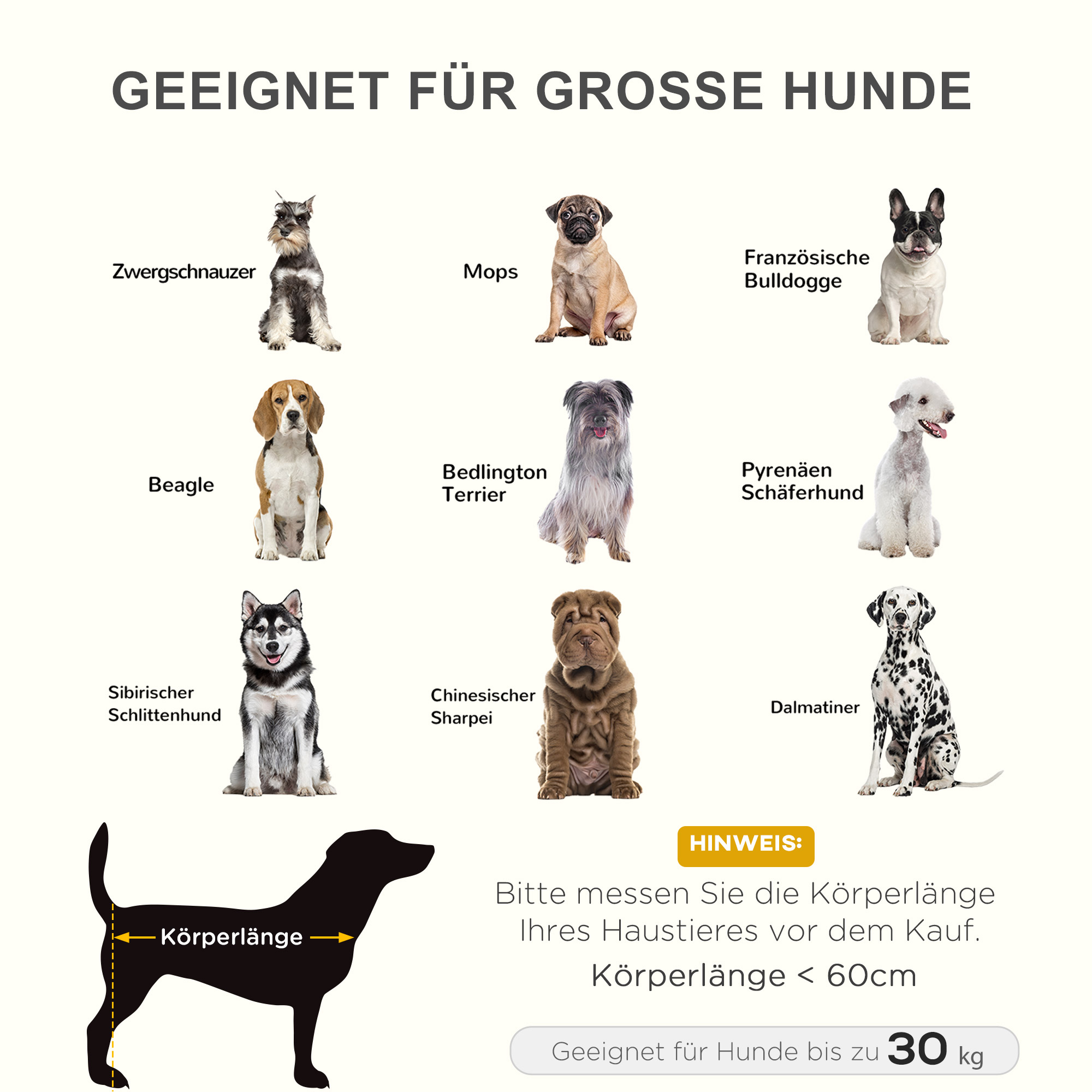 Hundebett, Outdoor-Hundebett, klappbar, atmungsaktiv, Schwarz