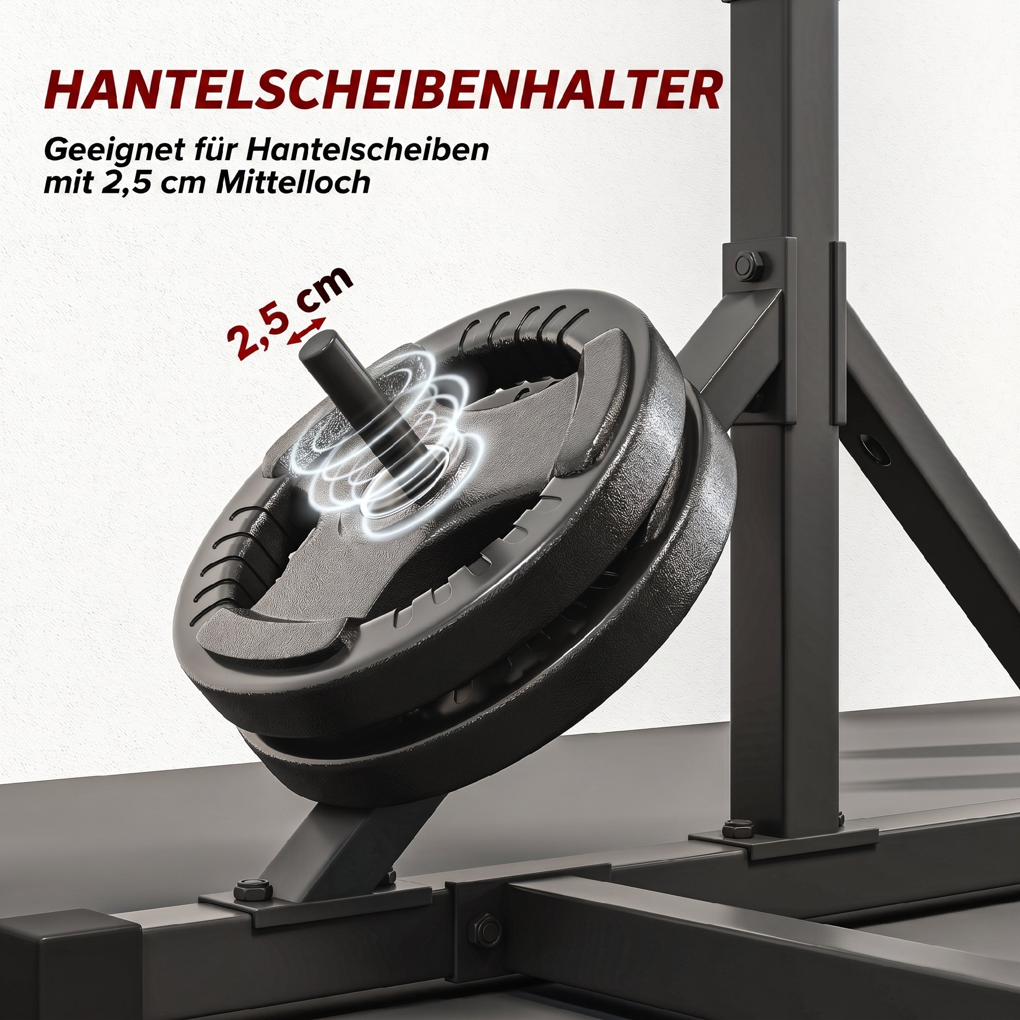 Hantelständer 2 Ebenen Hantelscheibenständer aus Stahl Langhantelablage bis 200 kg belastbar Squat Rack