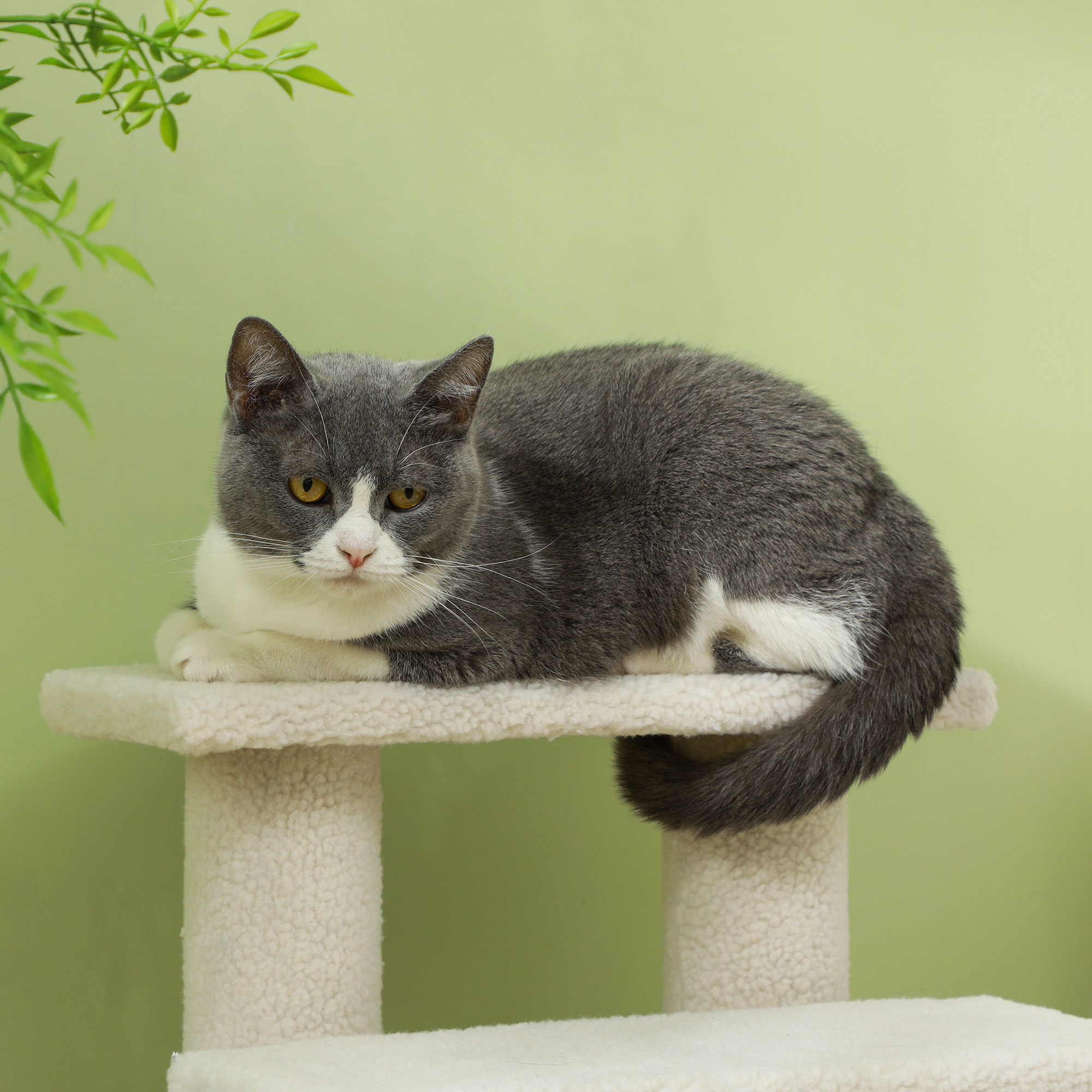 Tiertreppe Katzentreppe Hundetreppe Treppe für Katze und Hunde 4 Stufen Cremeweiß 63,5x43x60cm