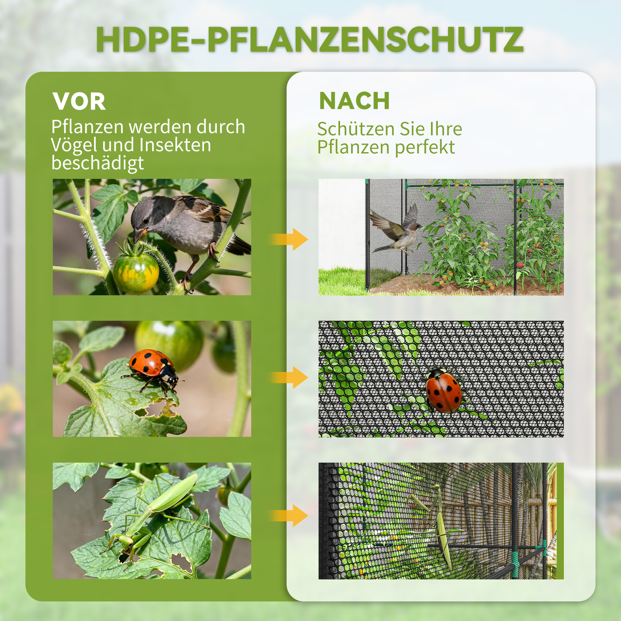 Obstkäfig, Pflanzenschutznetz mit Reißverschlusstür, Schutz vor Vögeln, Insekten und kleinen Tieren, Schwarz