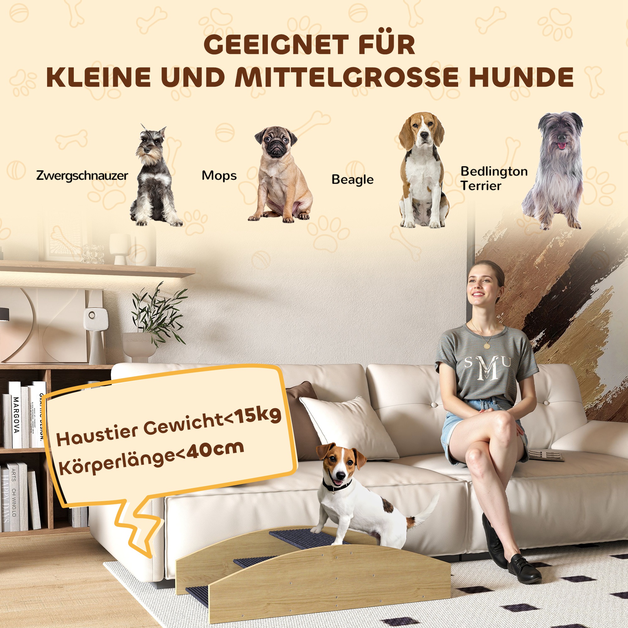 Agility Hundeschaukel, 2-in-1 Wippe und Treppe, rutschfest, Tanneholz, 80 x 39,5 cm
