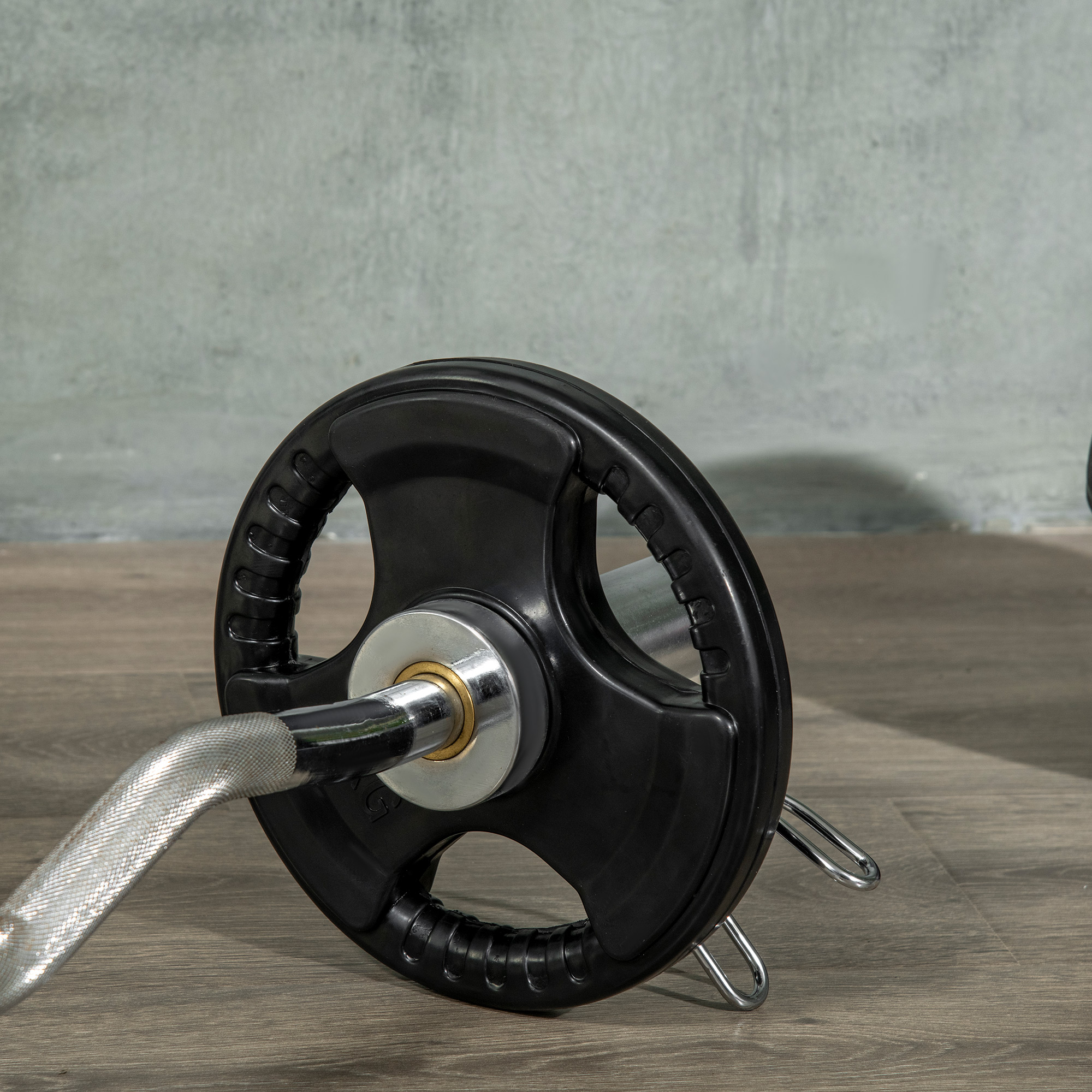 Hantelscheibe, 2er-Set, 5 kg pro Scheibe, drei Griffe, bodenschonender Gummimantel, Metall