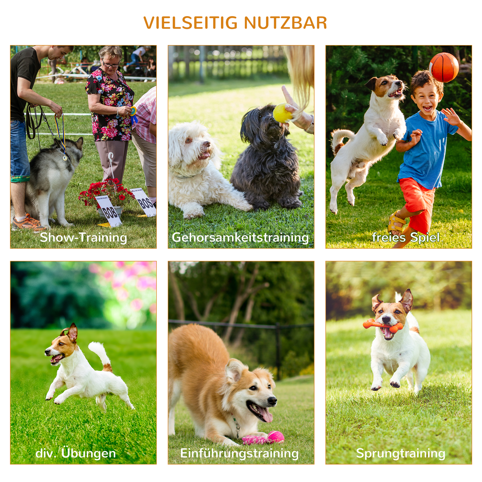3-tlg. Hunde Agility Set Training für Haustiere Hundetrainigsset Inklusive Tasche Leicht zu tragen Kunststoff Weiß+Gelb