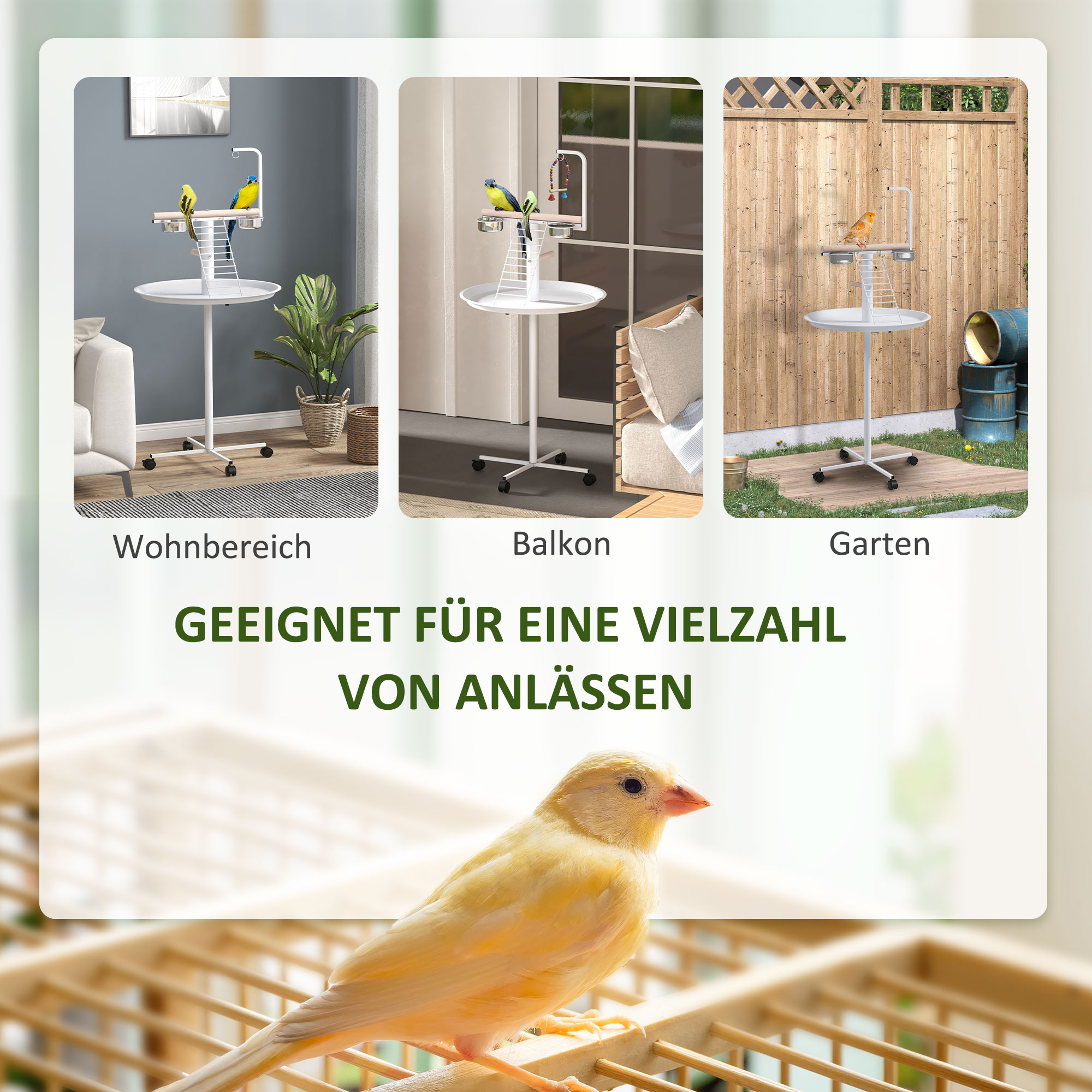 Anflugstange Freisitz für Papageien Sitzstange, 1 Leiter, 1 Schaukel, Futternäpfe, 60 x 60 x 138 cm, Weiß + Natur