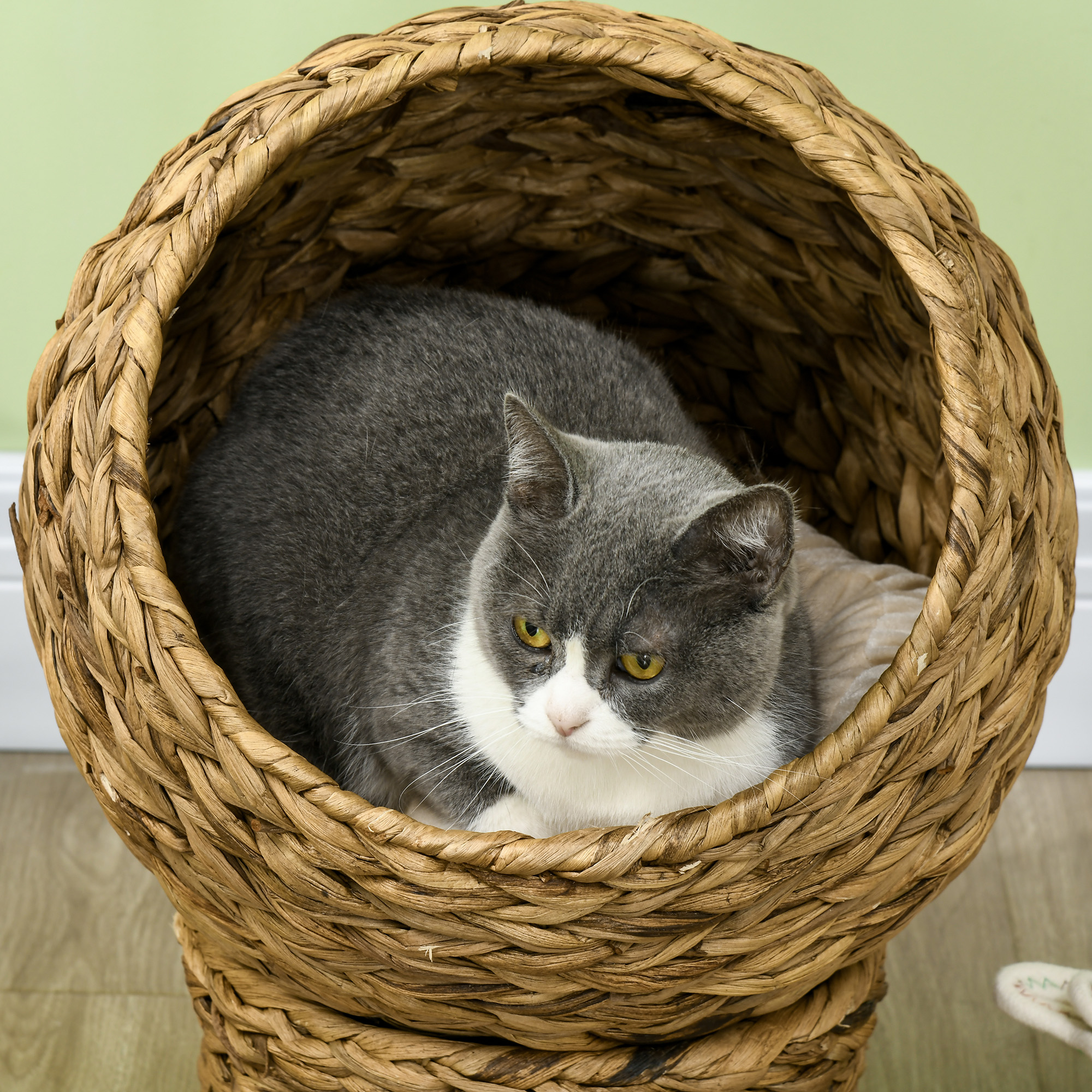 Rattan Katzenkorb Katzenhöhle Katzenhütte Katzenbett mit Kissen Haustierbett Wasserhyazinthe Braun 40 x 37 x 51 cm