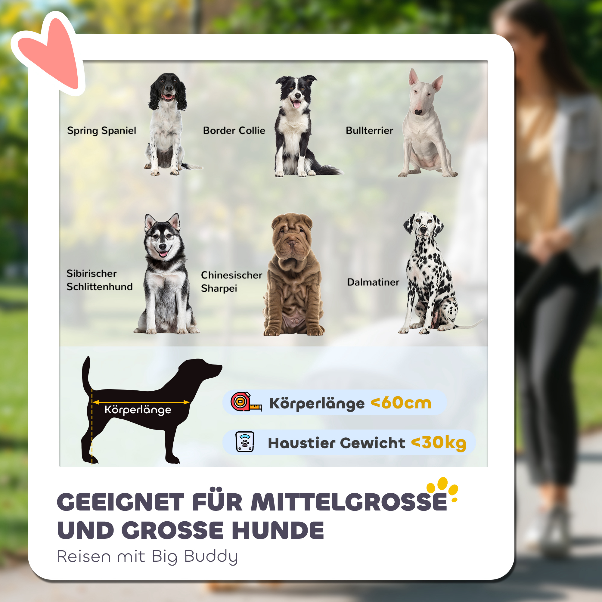 Hundebuggy, faltbar, aufklappbar, Liegekissen, Stahlrahmen, Rot/Schwarz