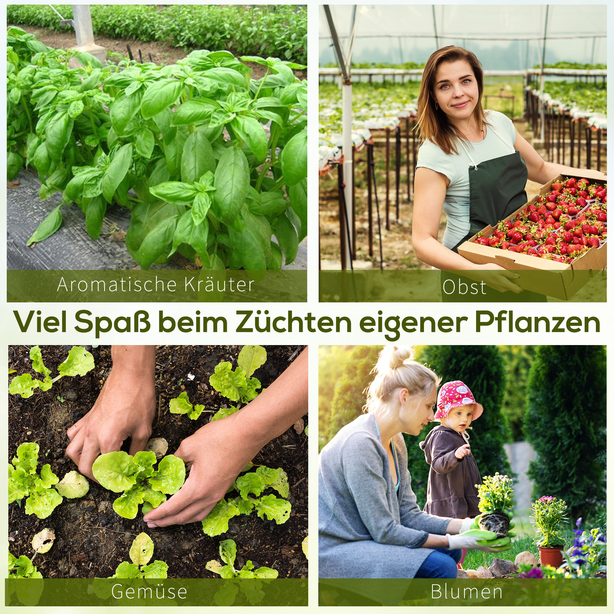 Gewächshaus 800x300x200cm Foliengewächshaus Tomatenhaus mit Tür, 12 Fenster, Folientunnel aus verzinktem Stahl, PE, stabiles Treibhaus Pflanztunnel, inkl, Erdanker & Seilen, Grün