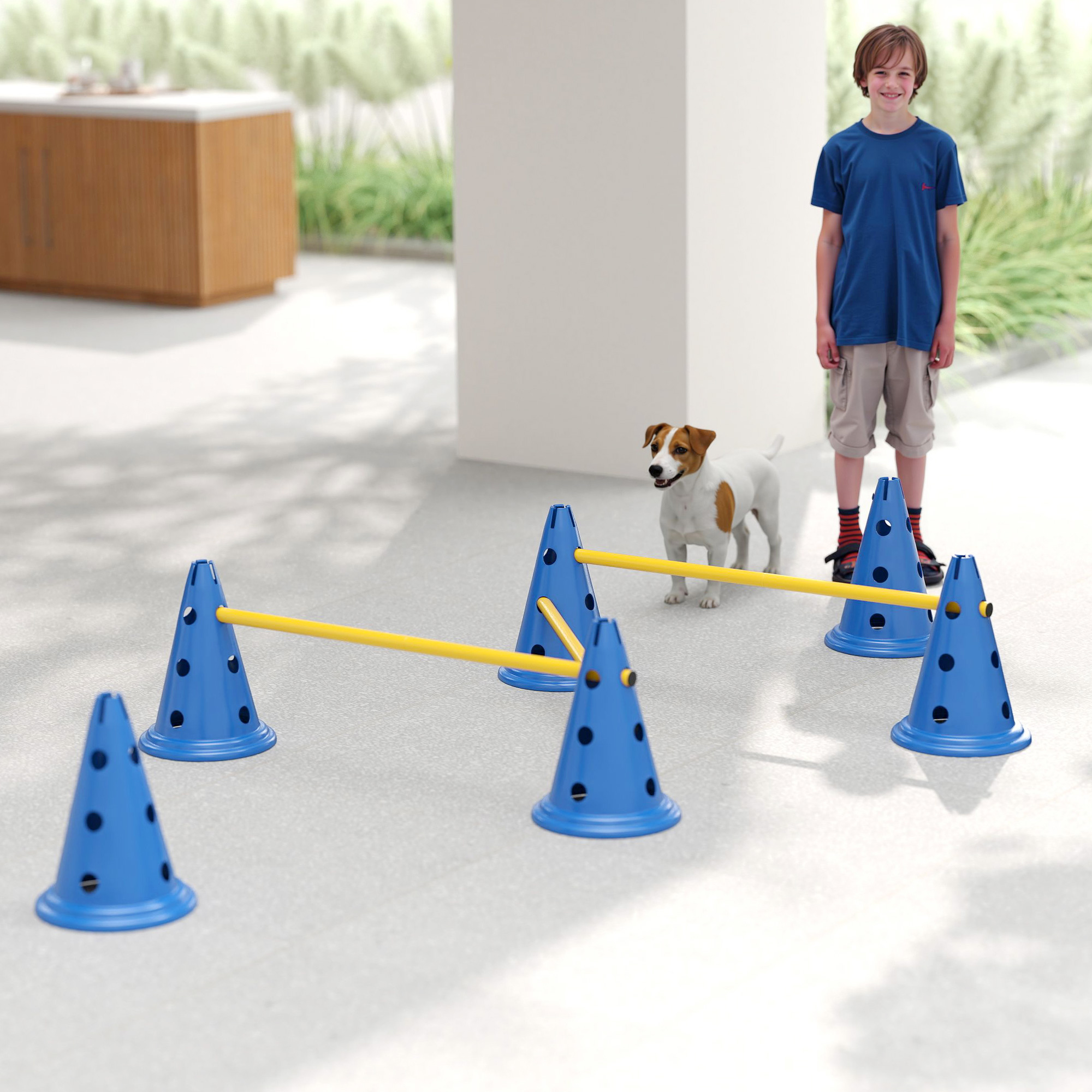 Agility Set Hunde 3-teiliges Agility-Ausrüstung für Hundetraining Steckhürdenset mit 6 Kegel 3 Hürden Tragetasche