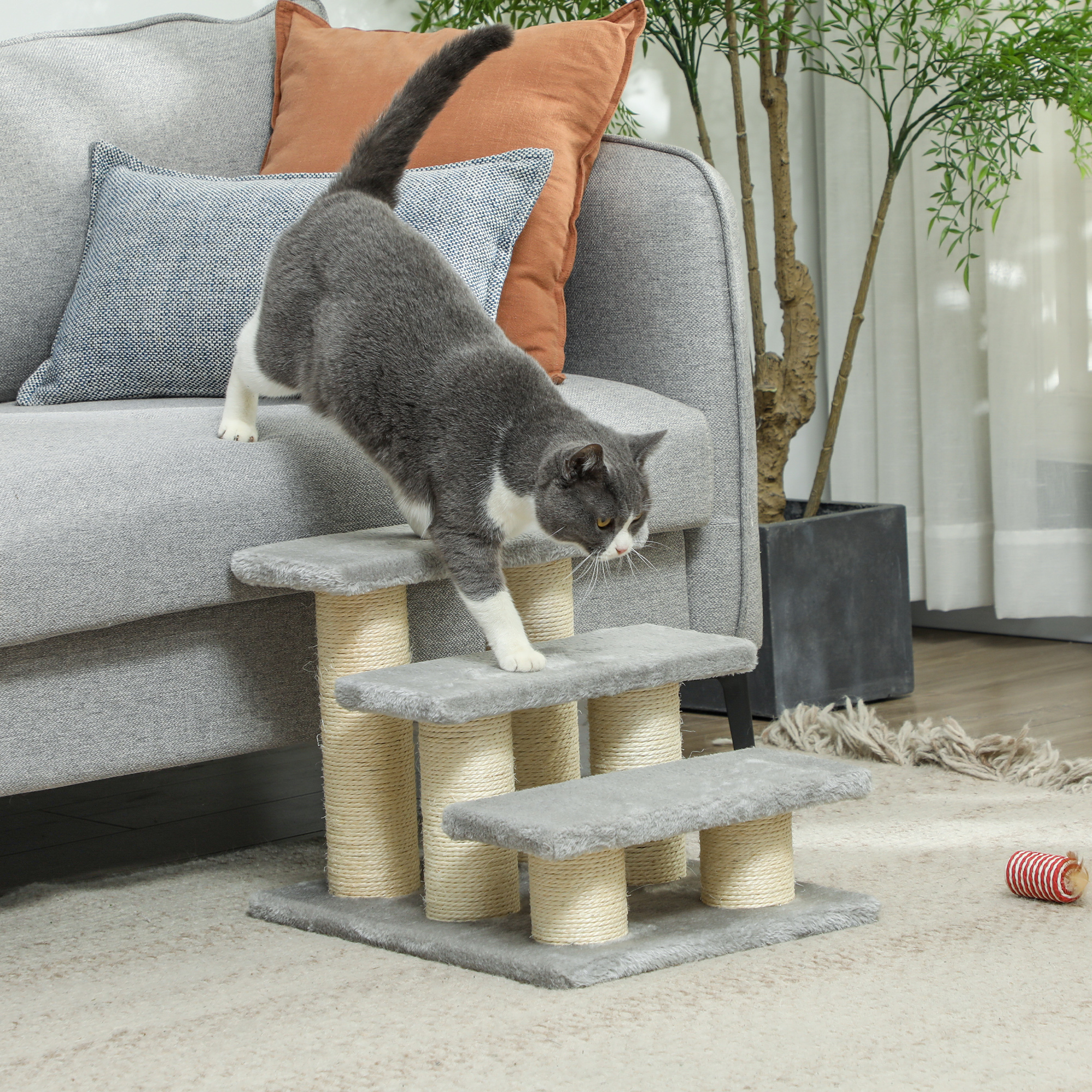 Hundetreppe 3 Stufen 34 cm Hoch Haustiertreppe für Katze Hunde Katzentreppe Einstiegshilfe für Bett, Sofa, Couch Grau