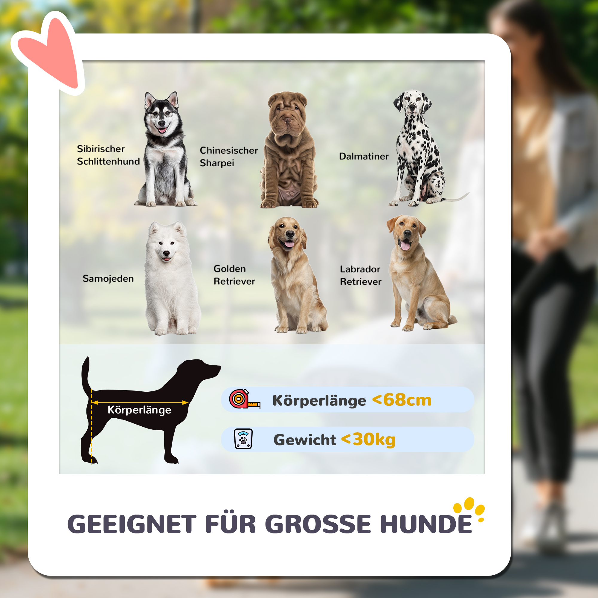 Hundewagen, Faltbarer Hundebuggy für große Hunde, Haustierwagen mit 4 Rädern, Sicherheitsleinen, Bremsen, Grau