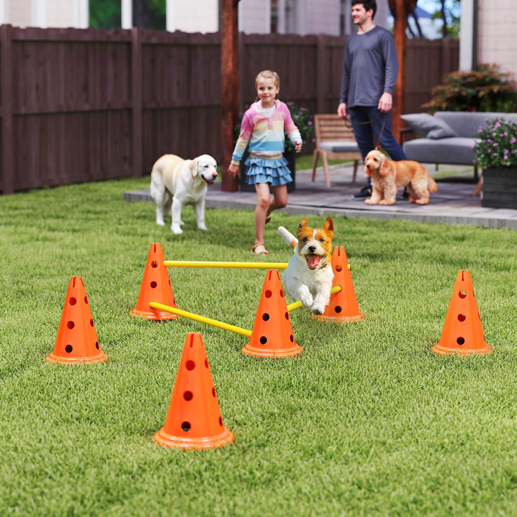 Agility Set Hunde 3-teiliges Agility-Ausrüstung für Hundetraining Steckhürdenset mit 6 Kegel 3 Hürden Tragetasche