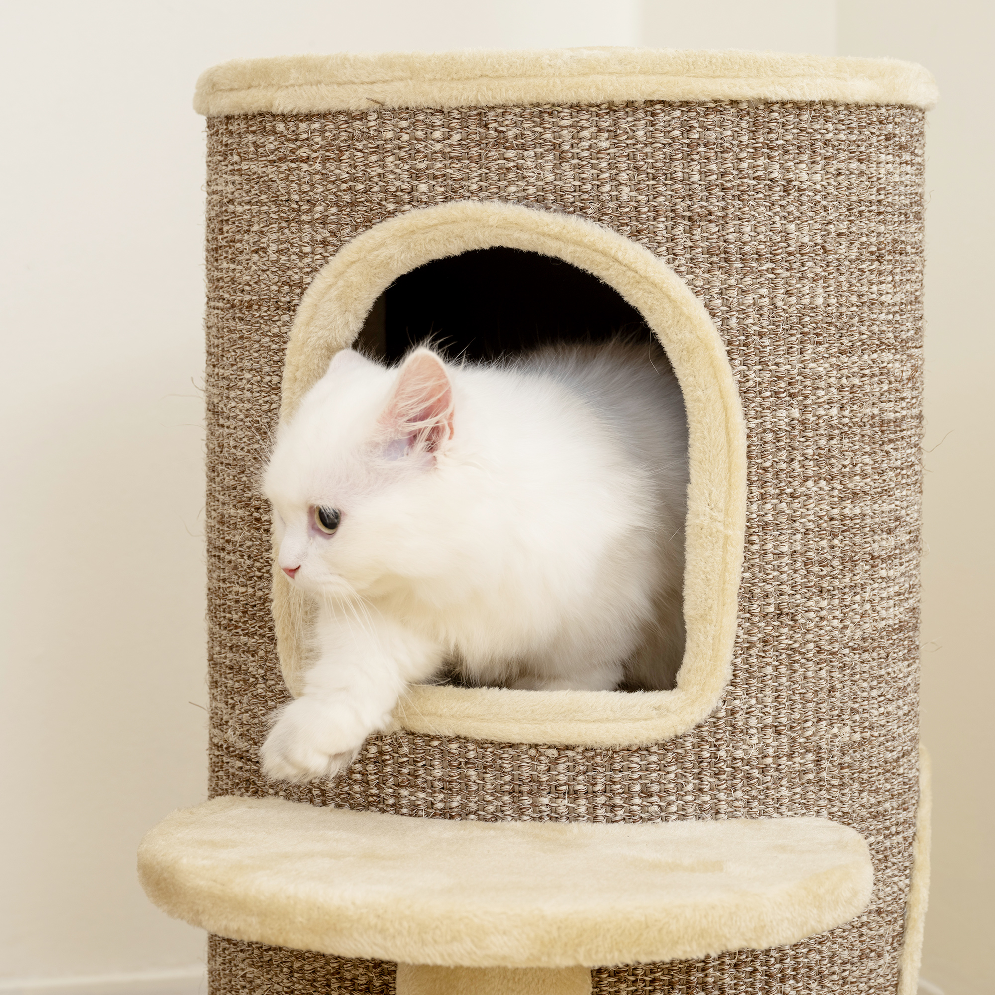 Katzenfass, Kratzbaum mit 2 Ebenen, Sprungplattform, Aussichtspunkt, Kratzmatte, zum Ausruhen und Spielen, Beige