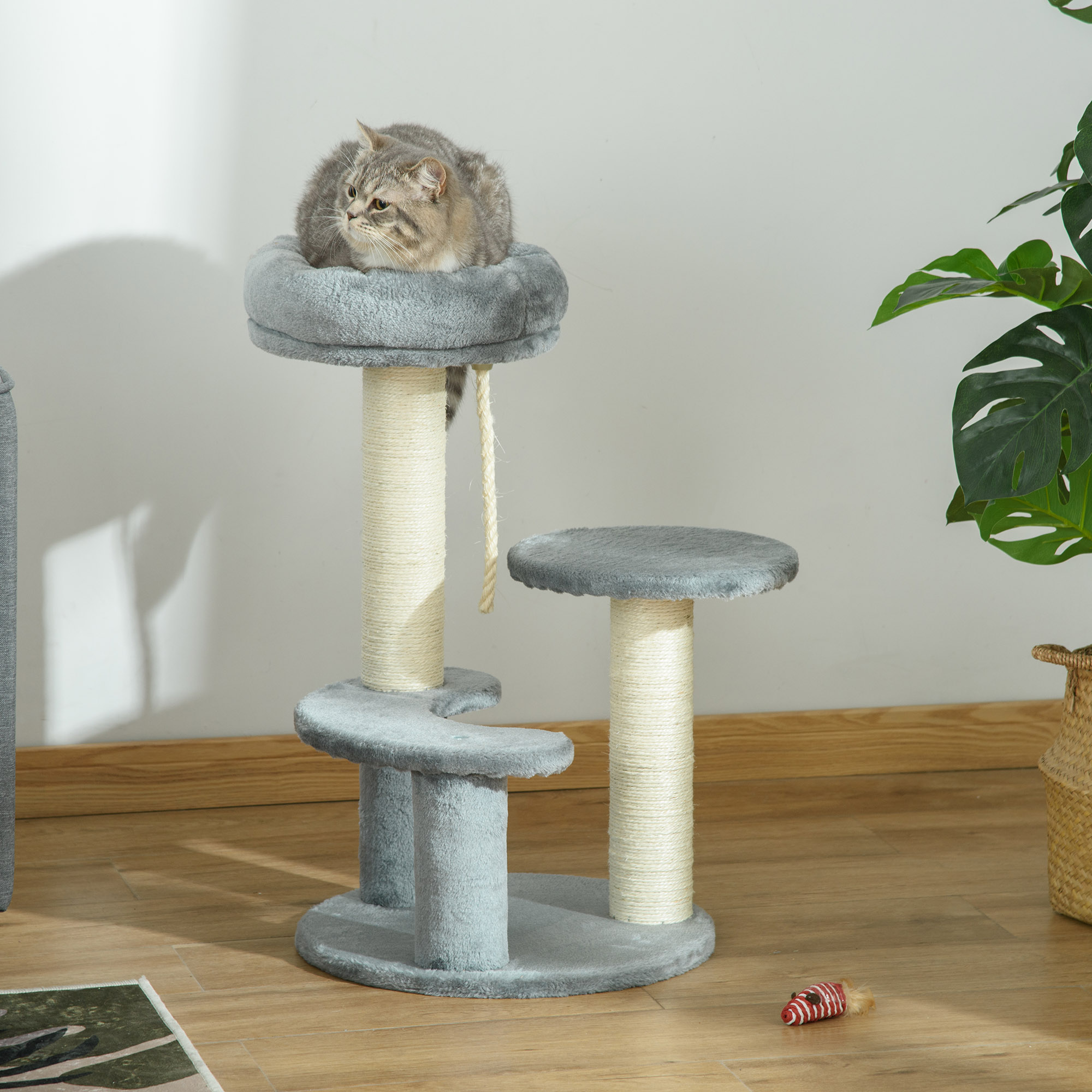 Kratzbaum 65 cm Kleiner Katzenbaum mit Katzenbett, Liegeplattform, Katzenkratzbaum mit Sisalsäulen Katzenmöbel für Katzen bis 3,5 kg, Grau