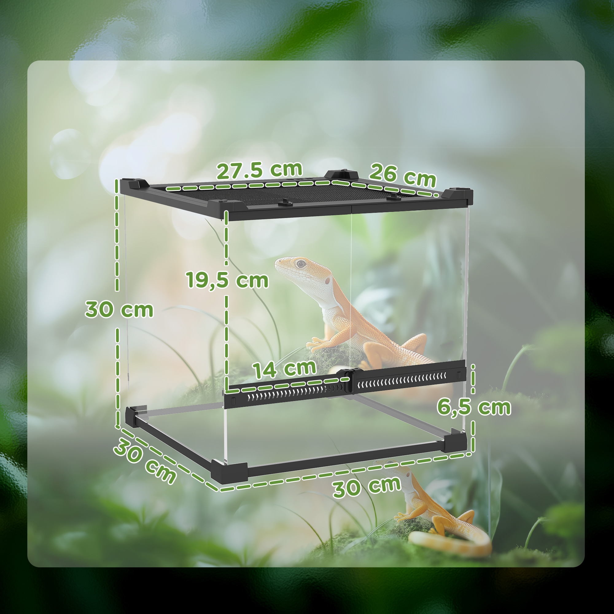 Glas-Terrarium für Reptilien, erhöhter & wasserdichter Boden, Knopfschloss