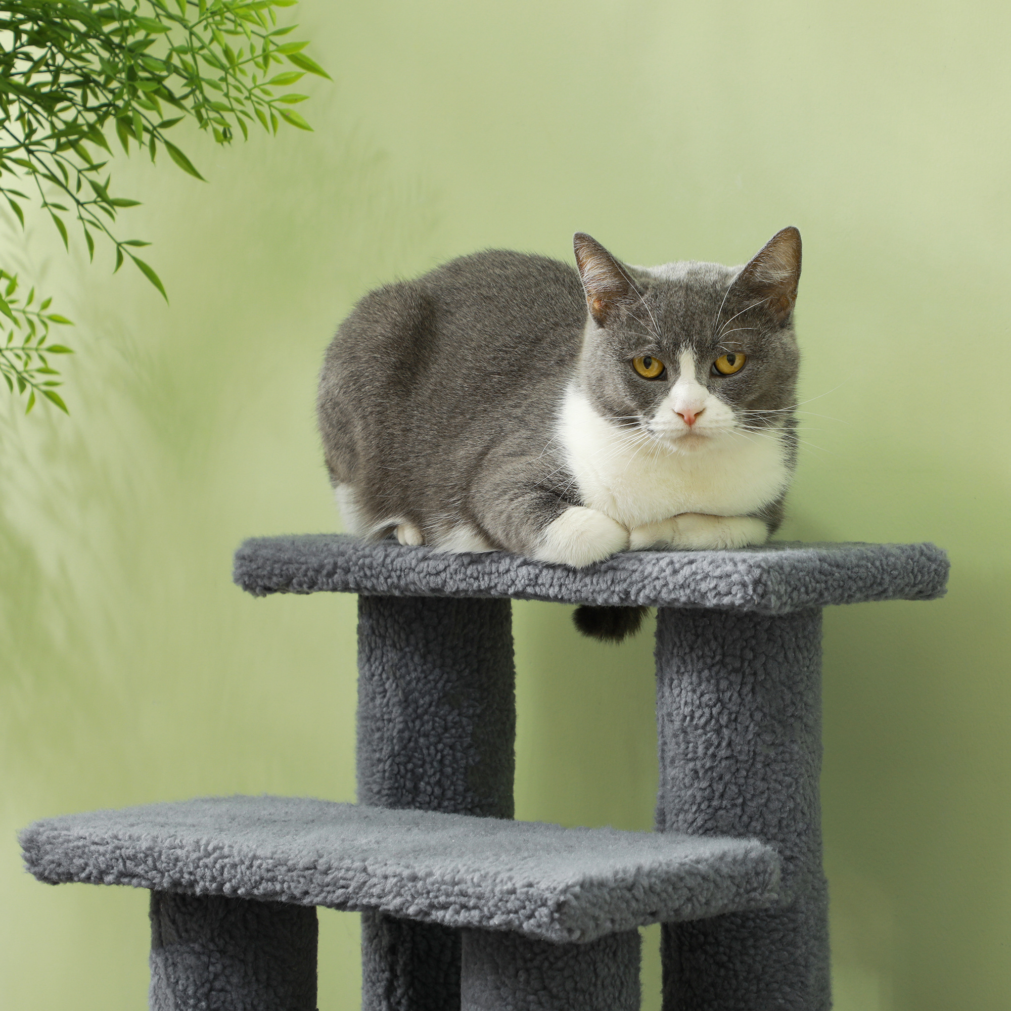 Tiertreppe Katzentreppe Hundetreppe Treppe für Katze und Hunde 4 Stufen Grau 63,5x43x60cm