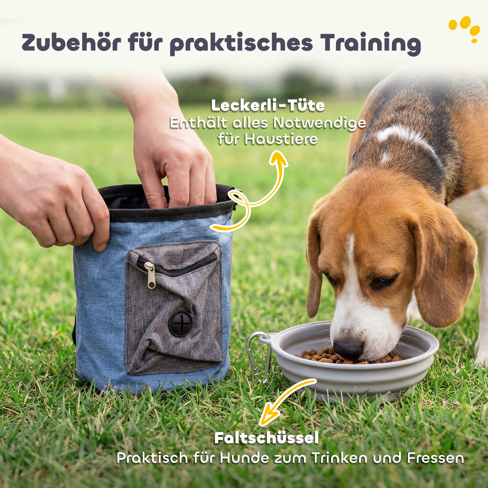Agility Set Hunde 11-teilig Agility-Ausrüstung für Hunde mit 2 Tunnel Höhenverstellbar Sprungring & Hürden Slalomstange