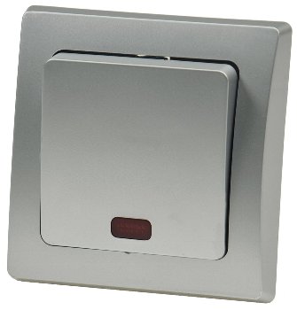 DELPHI Kontroll-Schalter mit Lämpchen, 250V~/ 10A, UP, silber