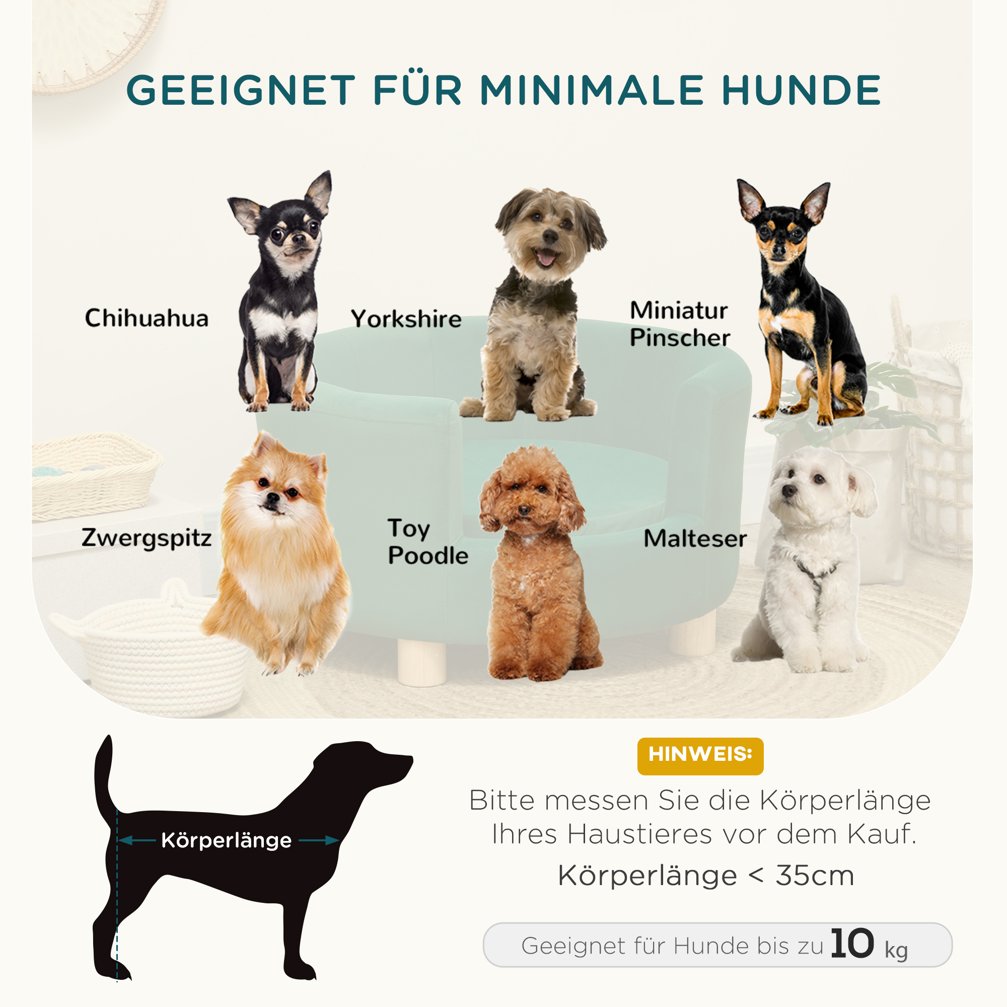Hundesofa Hundecouch, Waschbarer Bezug, Haustiersofa mit Rückenlehne und Holzbeine, Katzensofa, für kleine Hunde unter 4,5 kg, Grün