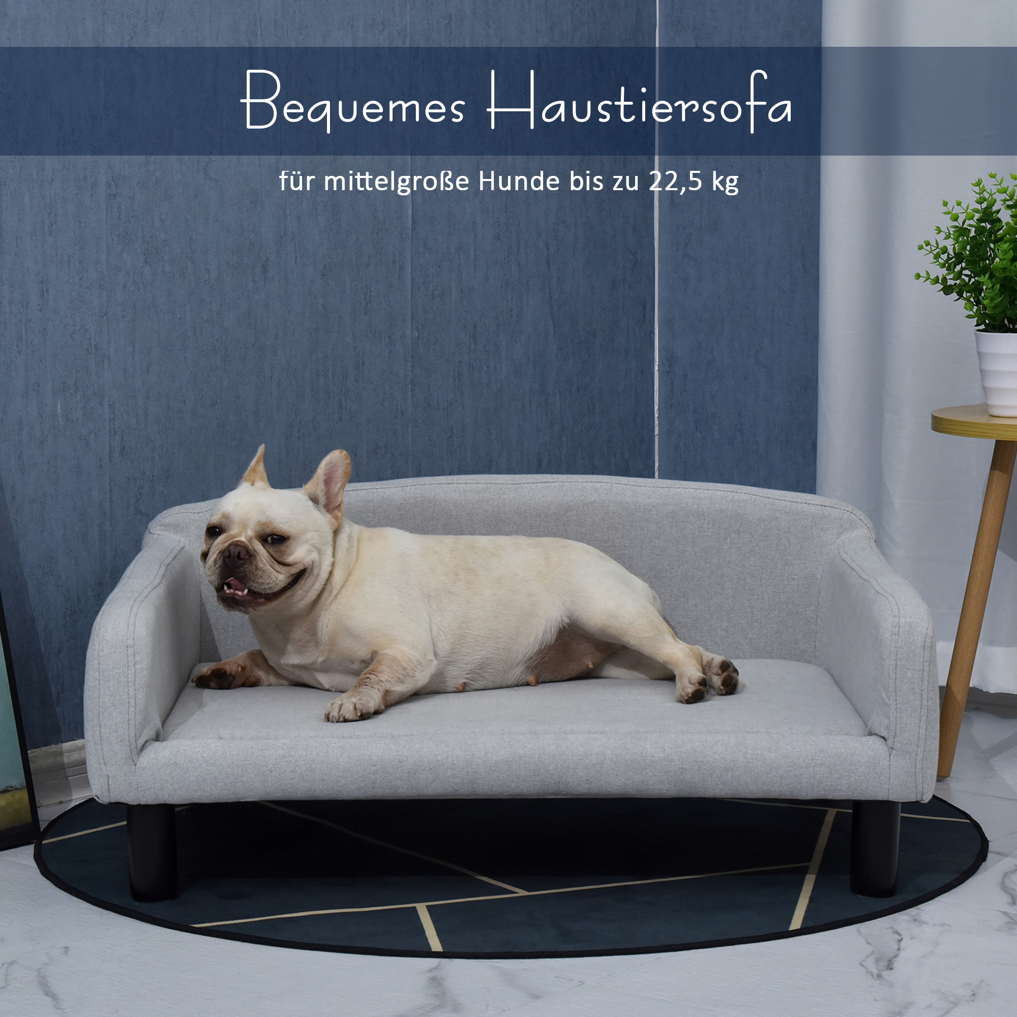 Hundesofa Hundebett Hundecouch aus Samt mit Rückenlehne, Holzbeine, Katzensofa für mittle Hunde 82 x 54 x 36 cm Hellgrau