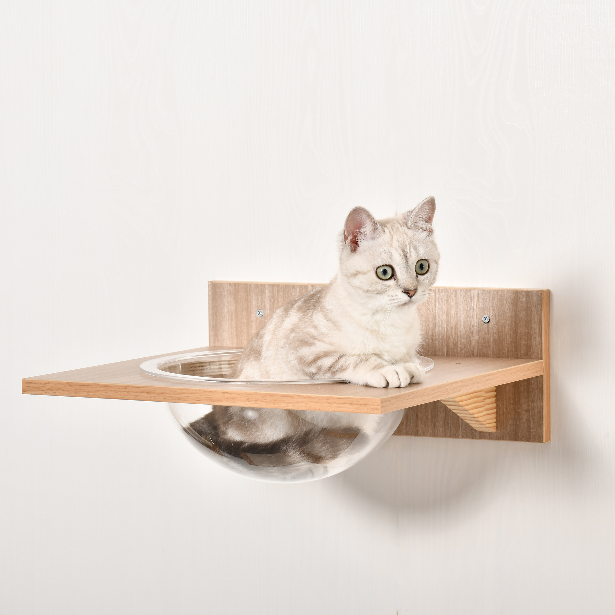 Kletterwand Katzen, 4-teilig Katzenkletterwand Set Katzen Wandelemente mit Kratzbaum Hängematte Sprungplattform Kratzsäule Katzentreppe Katzenwandmöbel für Klettern Schlafen bis 5 kg Hellbraun
