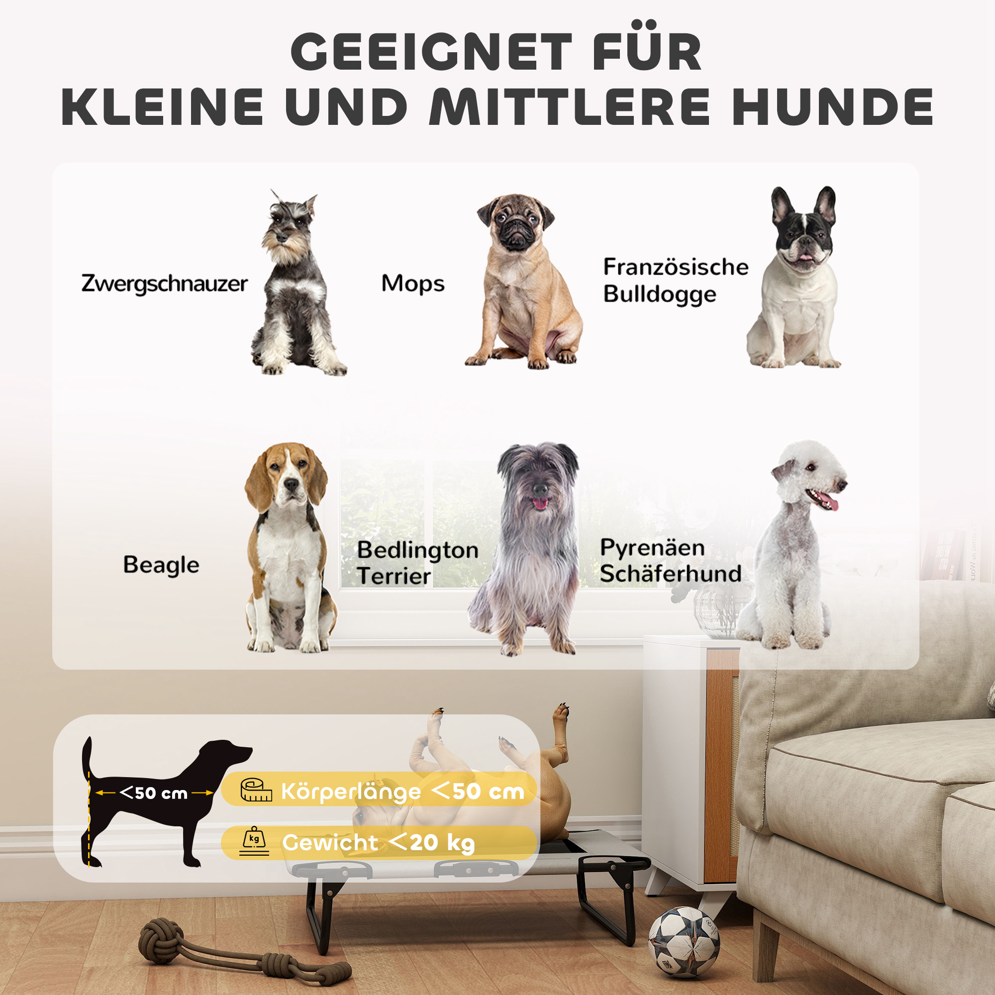erhöhtes Hundebett klappbar Haustierbett, Outdoor Hundeliege mit Netzdesign Hellgrau Oxford 75 x 51 x 18 cm