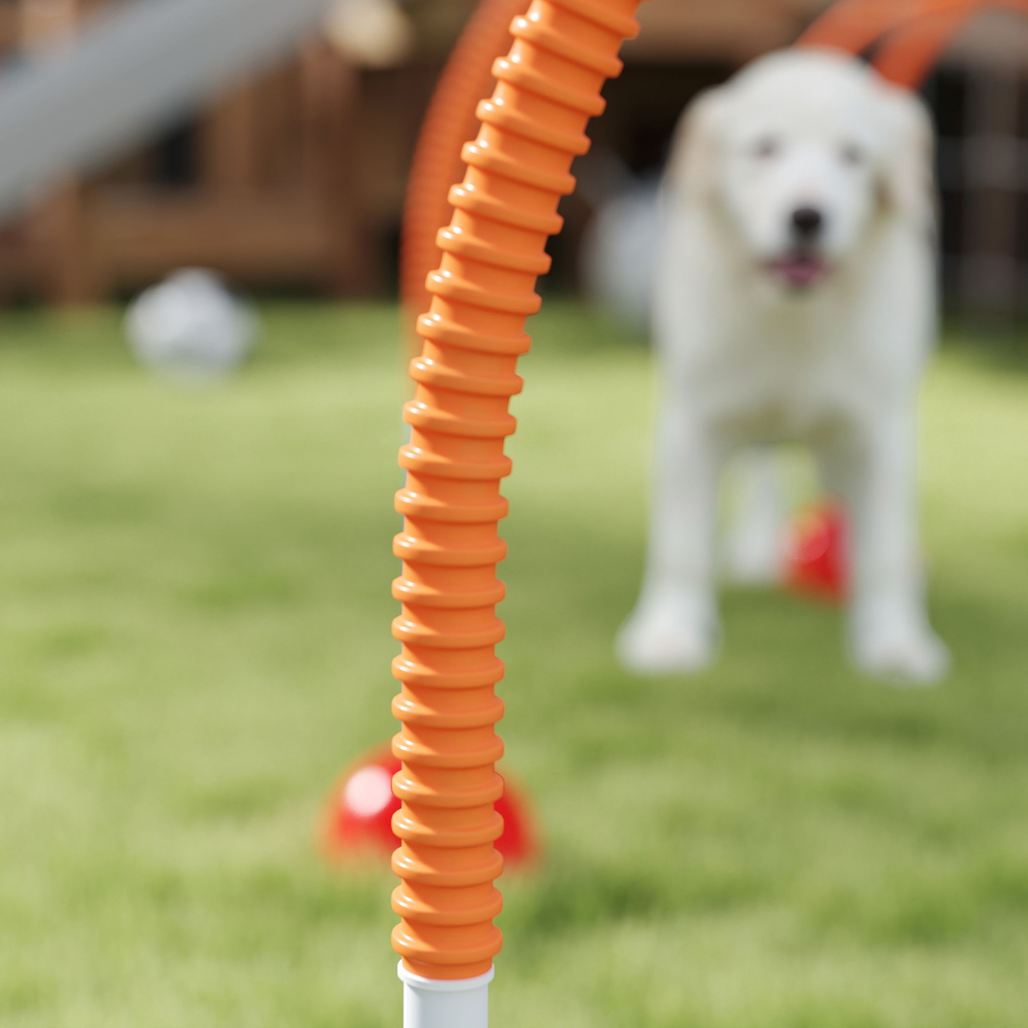 4-teiliges Hunde-Agility-Trainingsgerät mit 4 Türen in verstellbarer Breite, Tragetasche, für Garten, Blau
