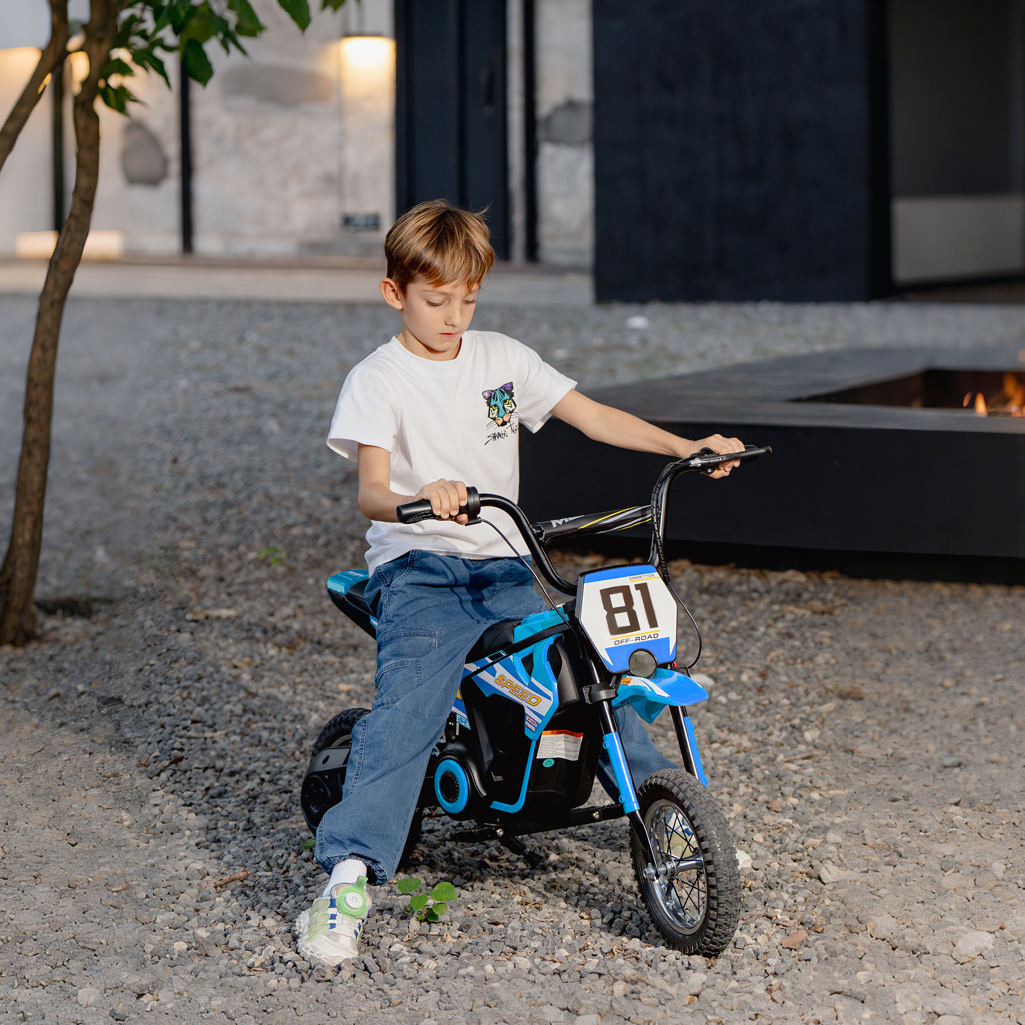Elektro Motorrad Kinder 24 V Kinder Motocross mit 250W Motor 7Ah Akku Hinterradfederung Scheibenbremse 16km/h 8–12 Jahre