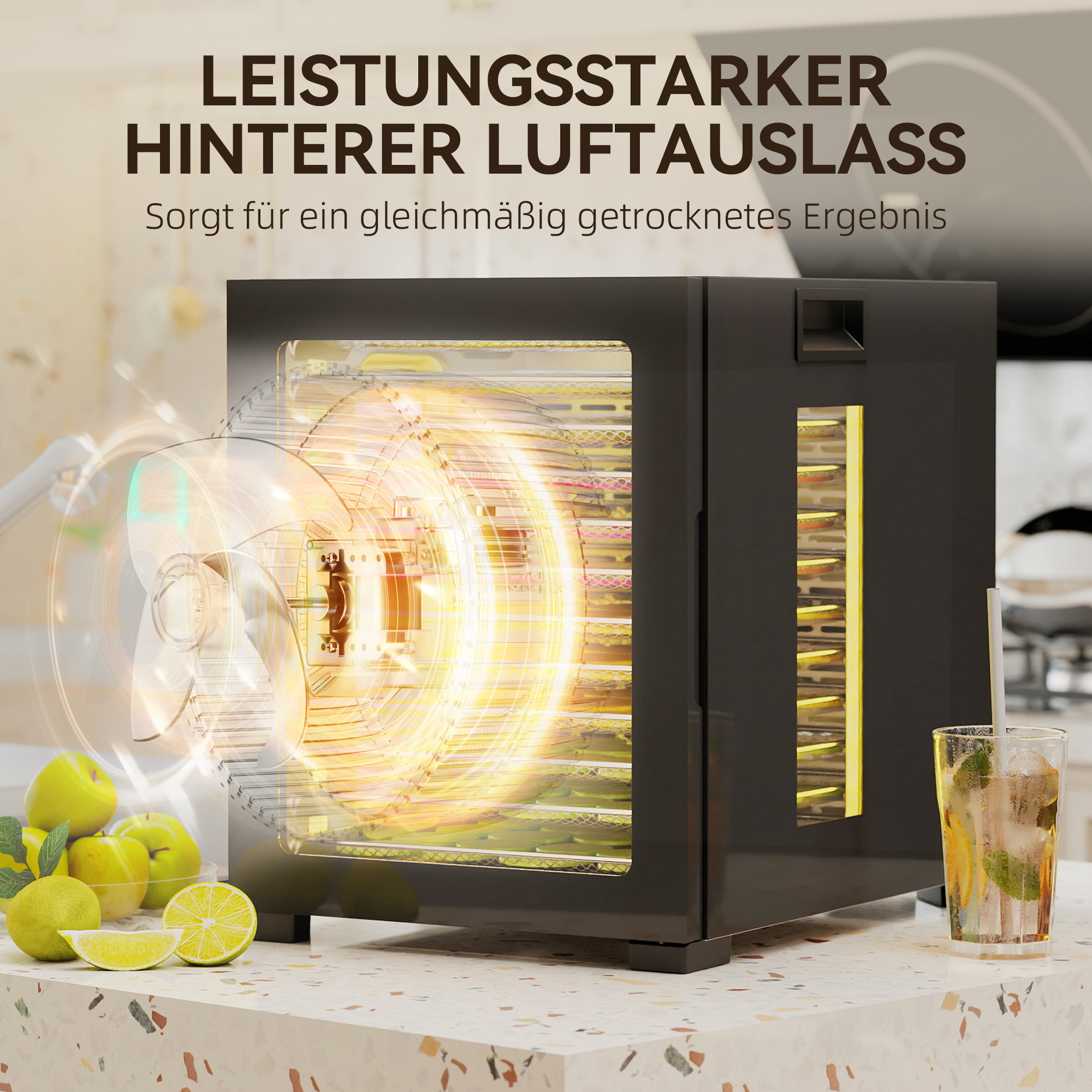 Dörrautomat Dörrgerät, 850 W, 40-70°C Temperaturregler, 48 Std. Timer, 12 Einlegefächer Edelstahl Schwarz