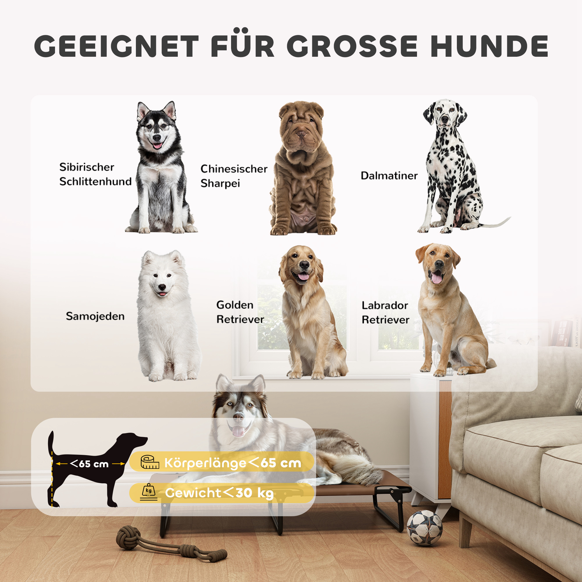 tragbares erhöhtes Hundebett, erhöhtes Haustierbett mit atmungsaktivem Netz, für große Hunde, Kaffee