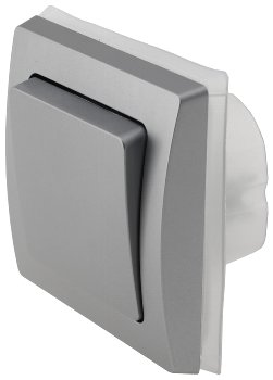 DELPHI Wechsel-Schalter IP44 / 250V~/ 10A, inkl. Rahmen, UP, silber