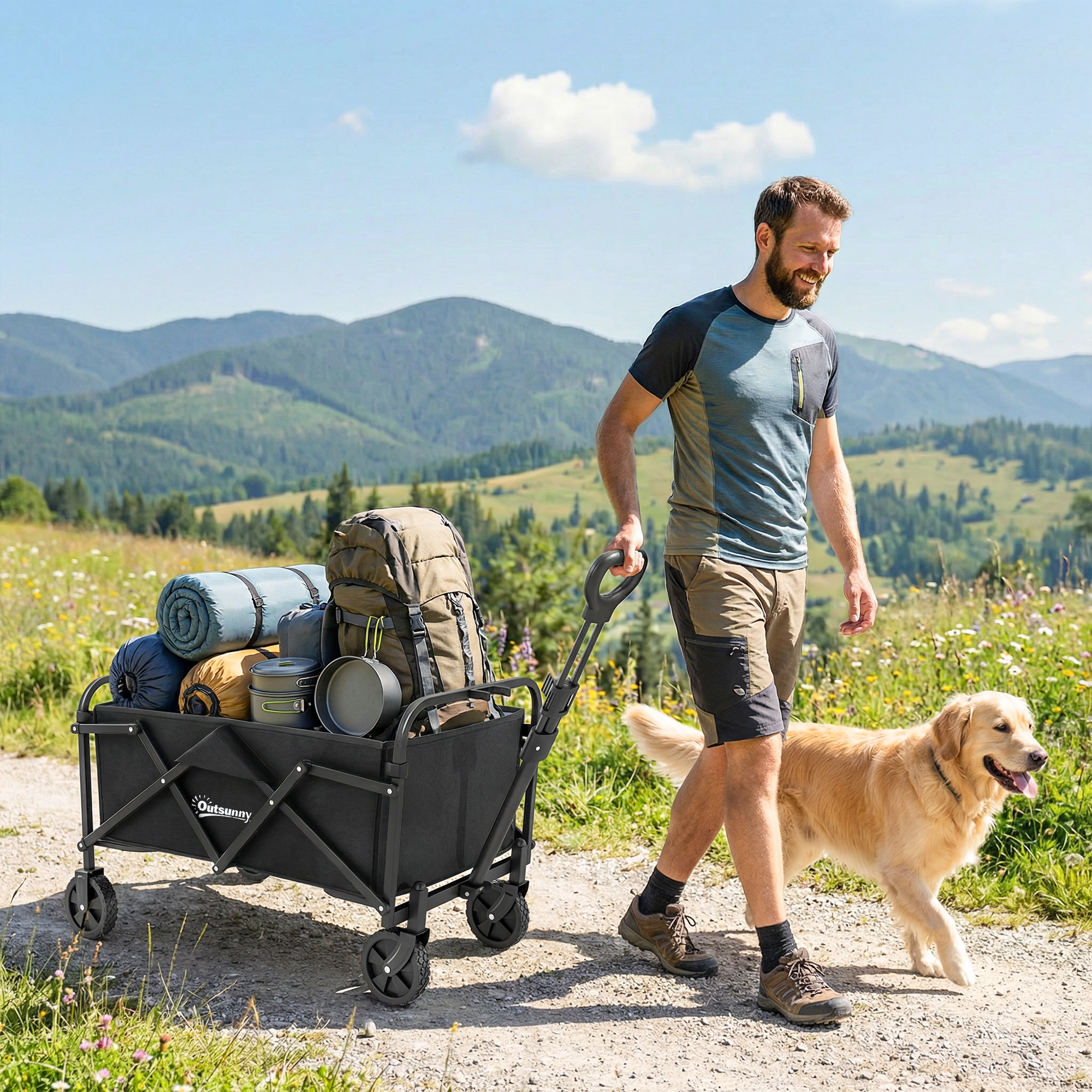 Bollerwagen faltbarer Handwagen mit Griff Verstellbarer Griffhöhe bis 68 kg Tragkraft für Sport Einkauf Camping Schwarz