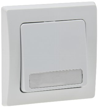DELPHI Taster mit Namensschild / 0-250V~/ 10A, inkl. Rahmen, UP, weiß