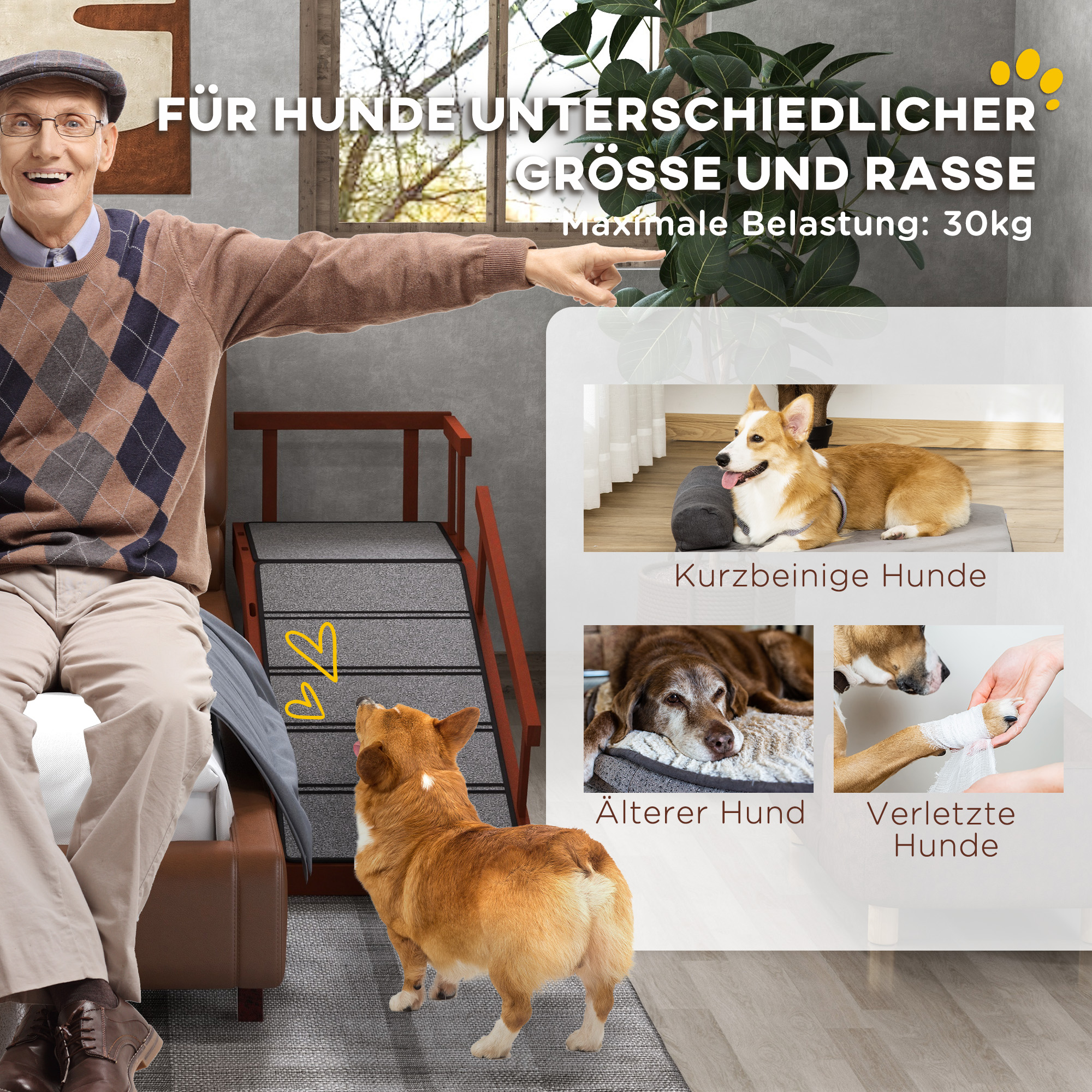 Hunderampe, abnehmbare Geländer, rutschfest, Holz, bis 30 kg, 125x40x56cm, Braun/Grau