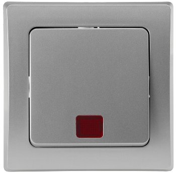 DELPHI Kontroll-Schalter mit Lämpchen - 250V~/ 10A, UP, silber DELPHI Kontroll-Schalter mit Lämpchen - 250V~/ 10A, UP, silber