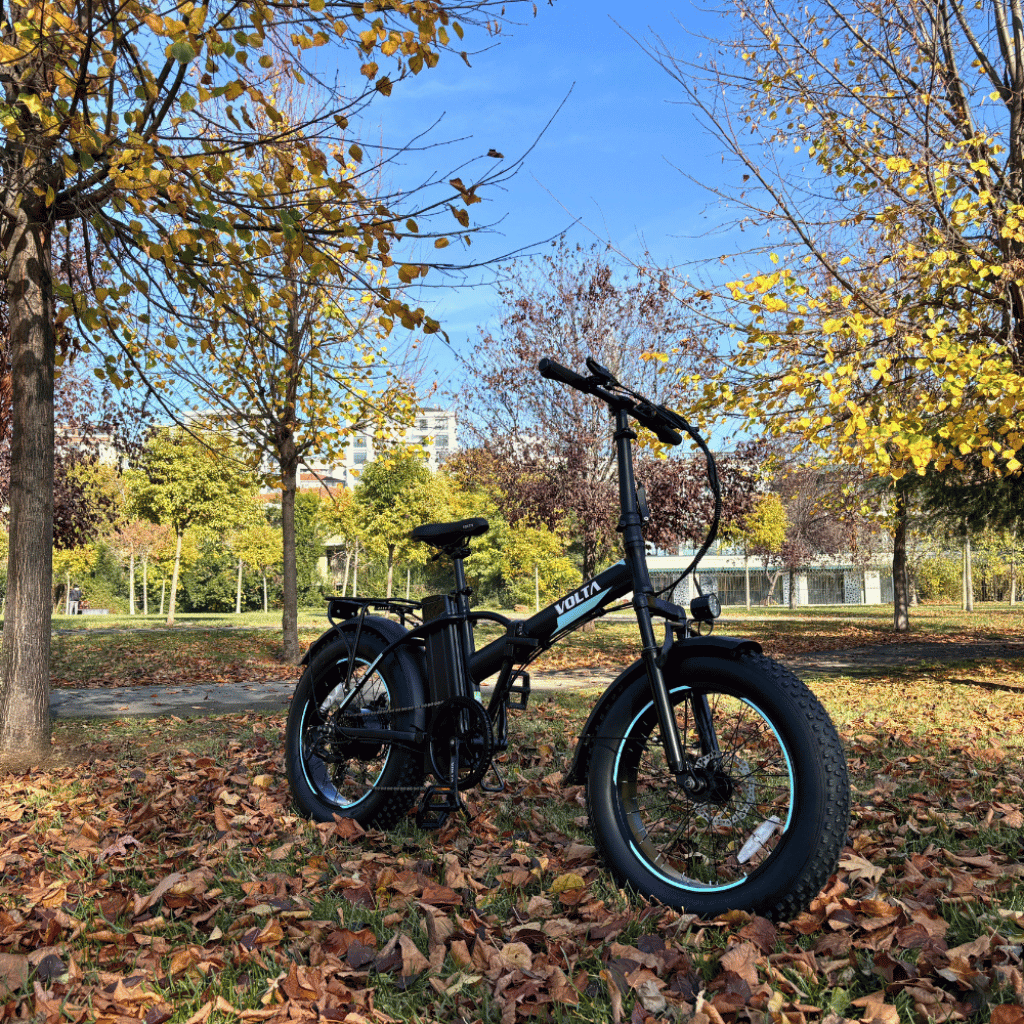 VOLTA VB2 NEO ELEKTRO-KLAPPRAD 20″