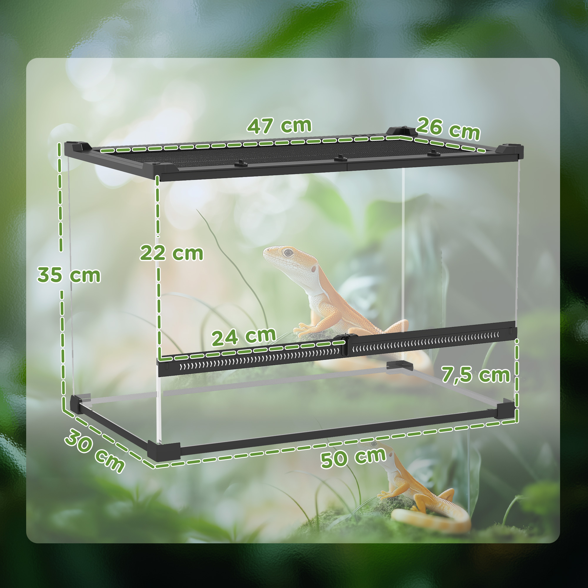 Glas-Terrarium für Reptilien, erhöhter & wasserdichter Boden, Knopfschloss