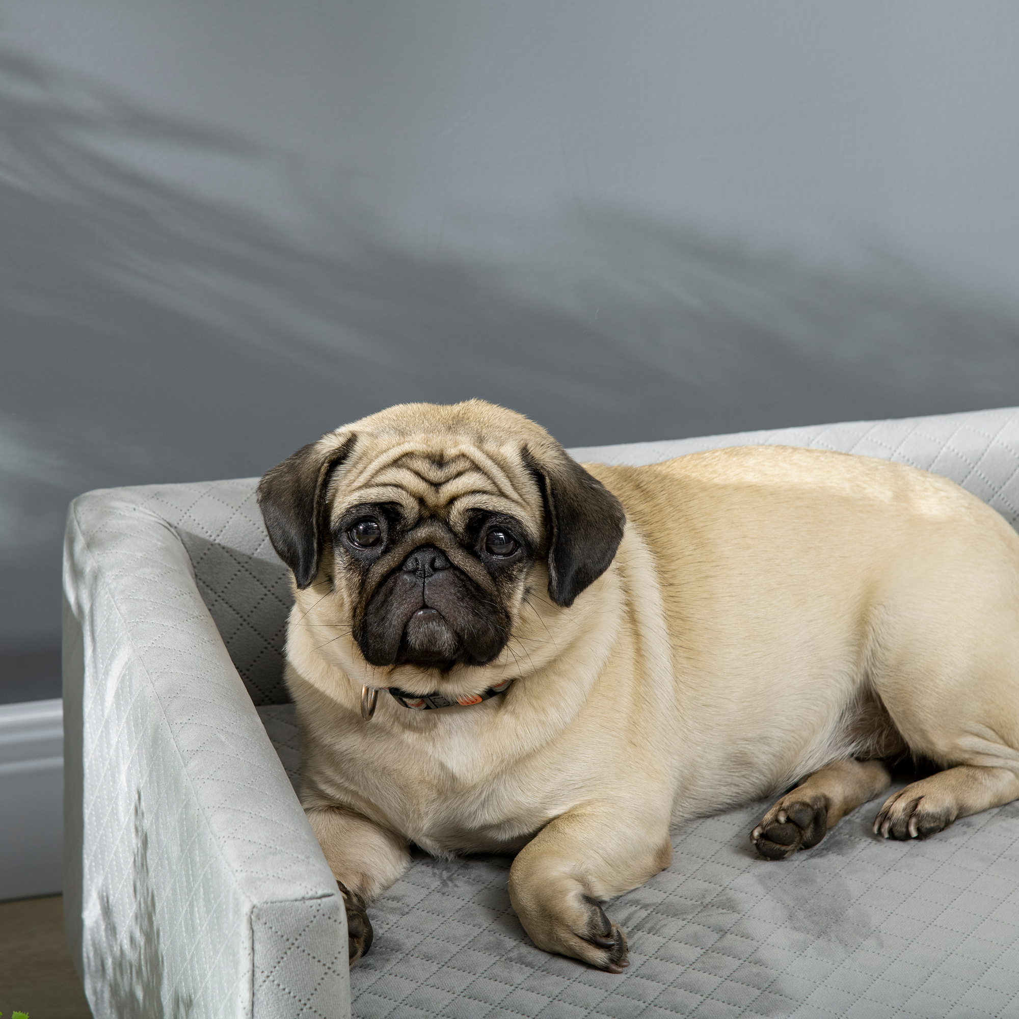 Hundesofa mit Holzbeinen Hundebett Haustiersofa Hundematte für kleine Hunde bis zu 8 kg Samt-Touch Grau 64 x 45 x 36 cm