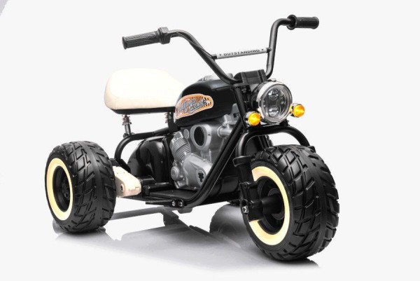 Elektro Kindermotorrad 2x800W Brushless Motoren - 24V7A - Schwarz