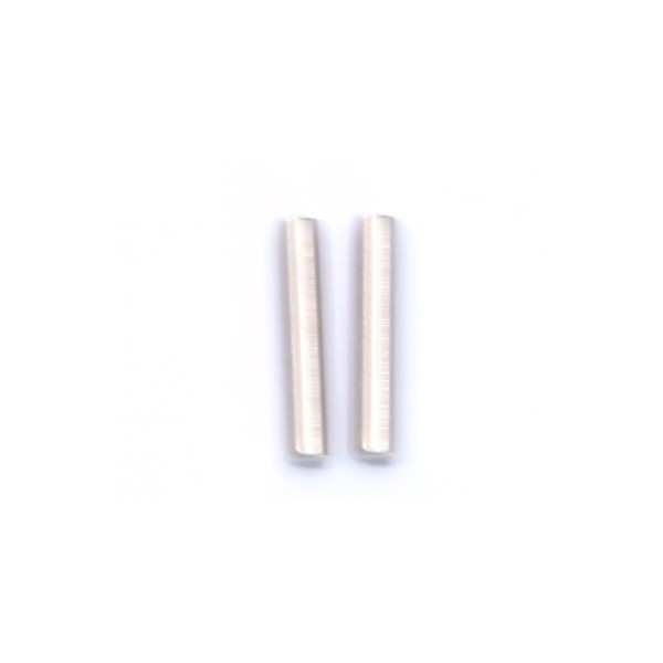 Stift 4x26,2mm VE2 Extron 1:14 2,4GHz